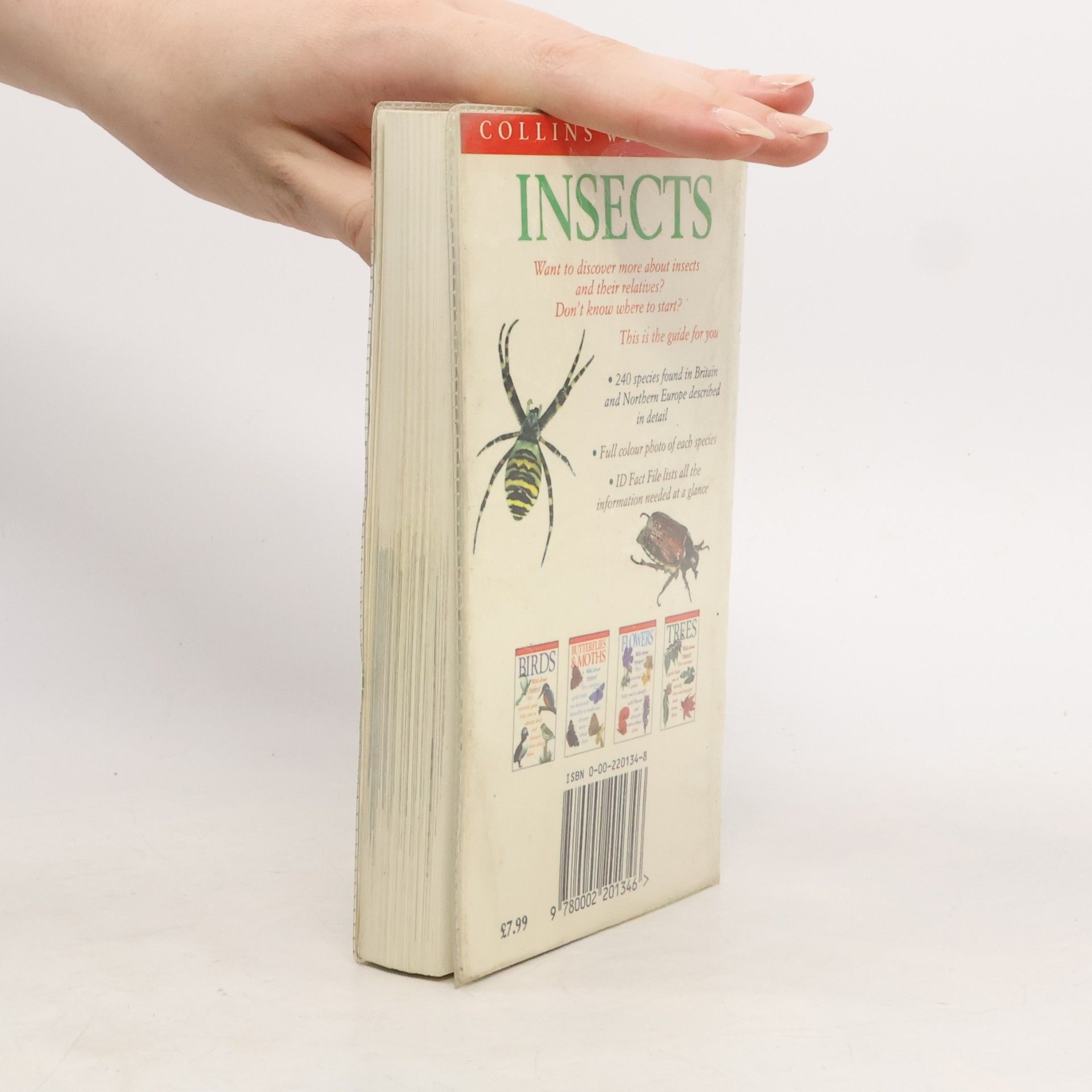 Bob Gibbons Insects