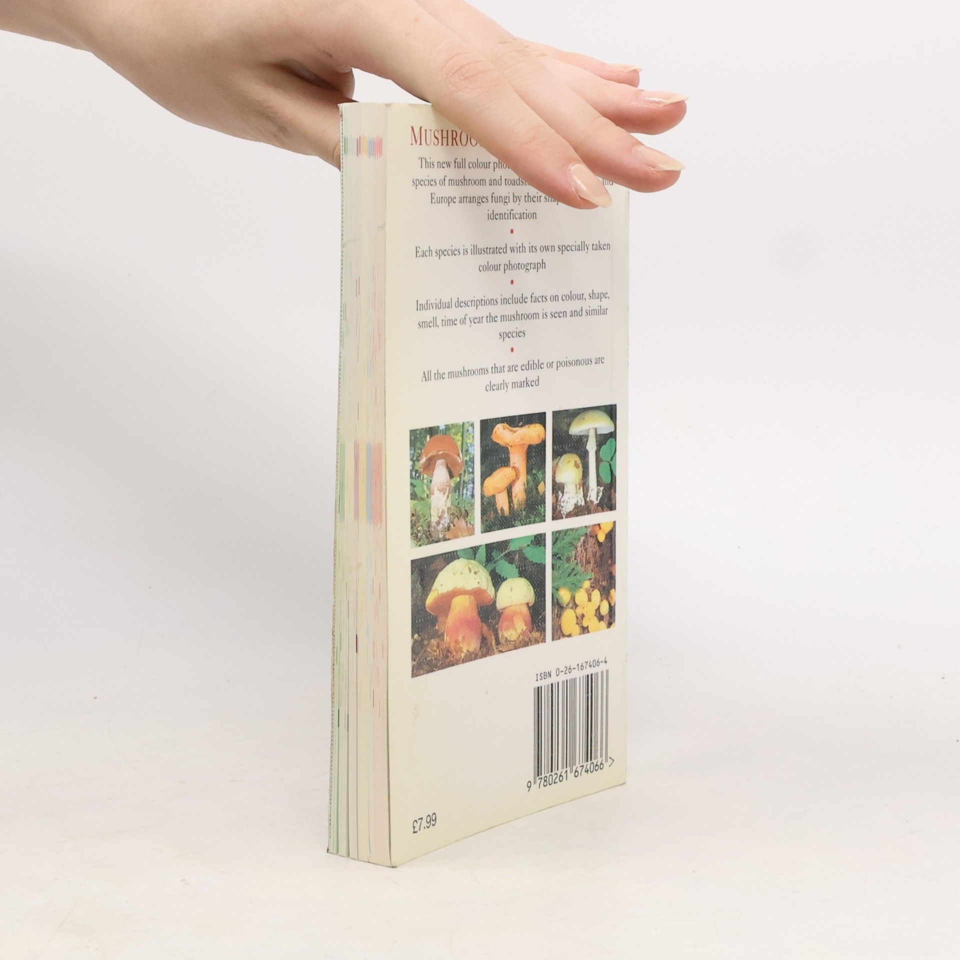 Edmund Garnweidner Collins Mushroom & Toadstools Book Edmund Garnweidner