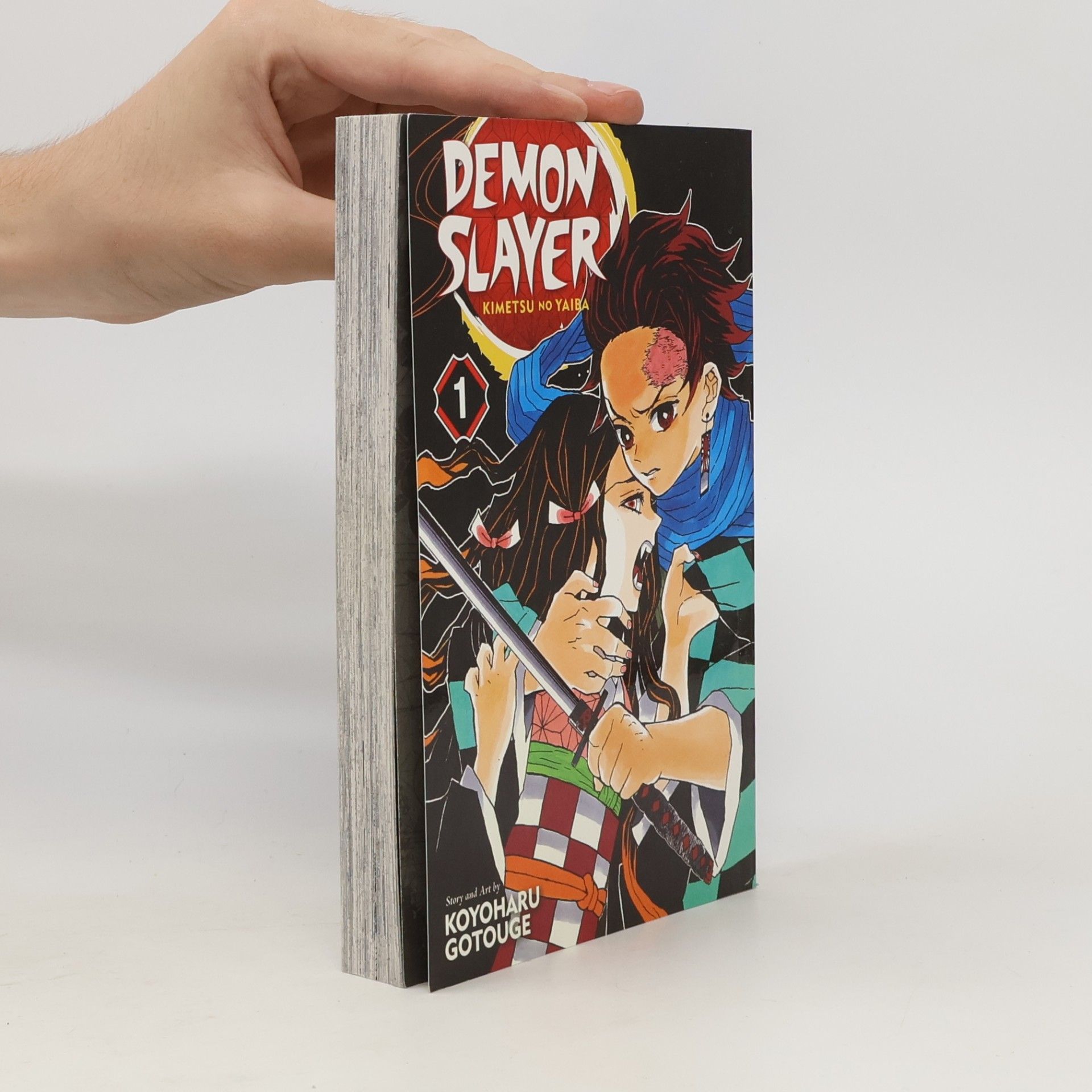 Koyoharu Gotoge Demon slayer 1