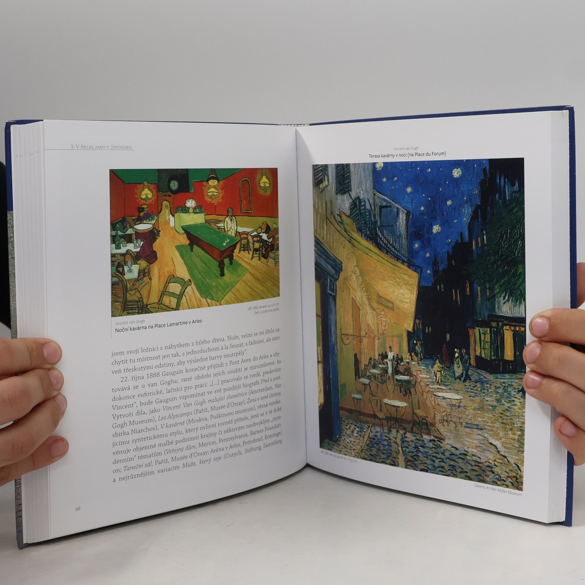 Cristina Sirigatti Vincent van Gogh : život, osobnost a dílo