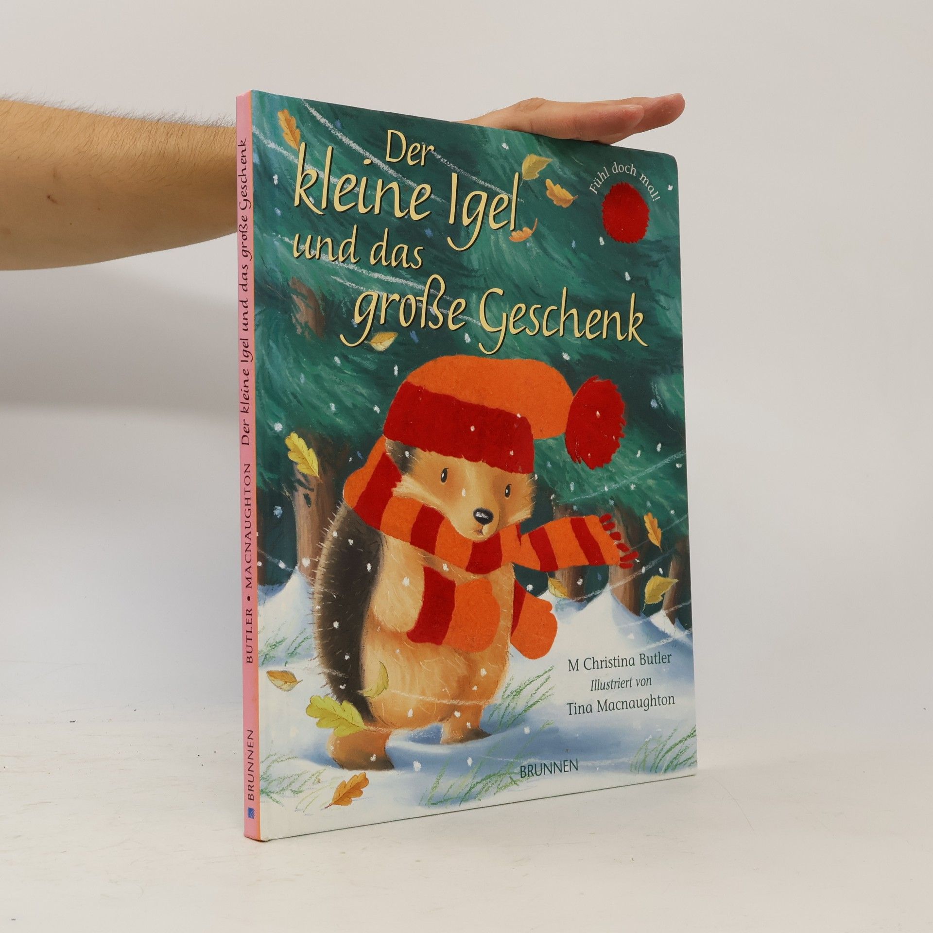 Christina M. Butler Der kleine Igel und das große Geschenk