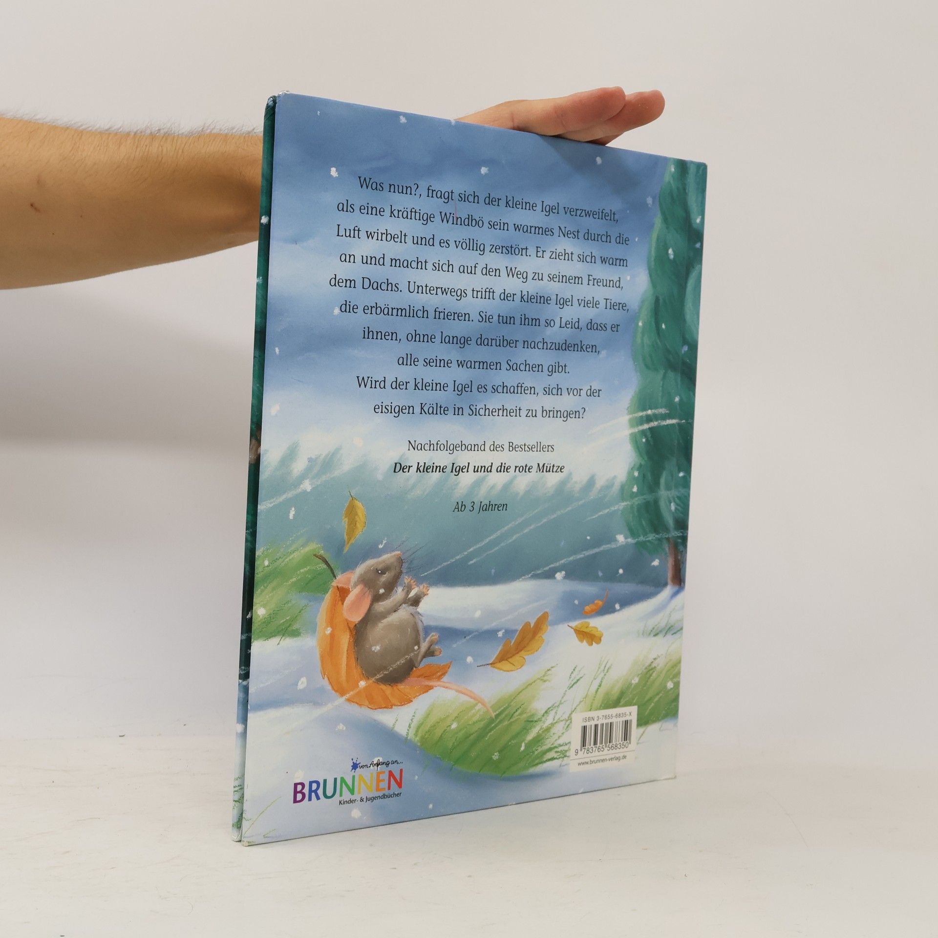 Christina M. Butler Der kleine Igel und das große Geschenk
