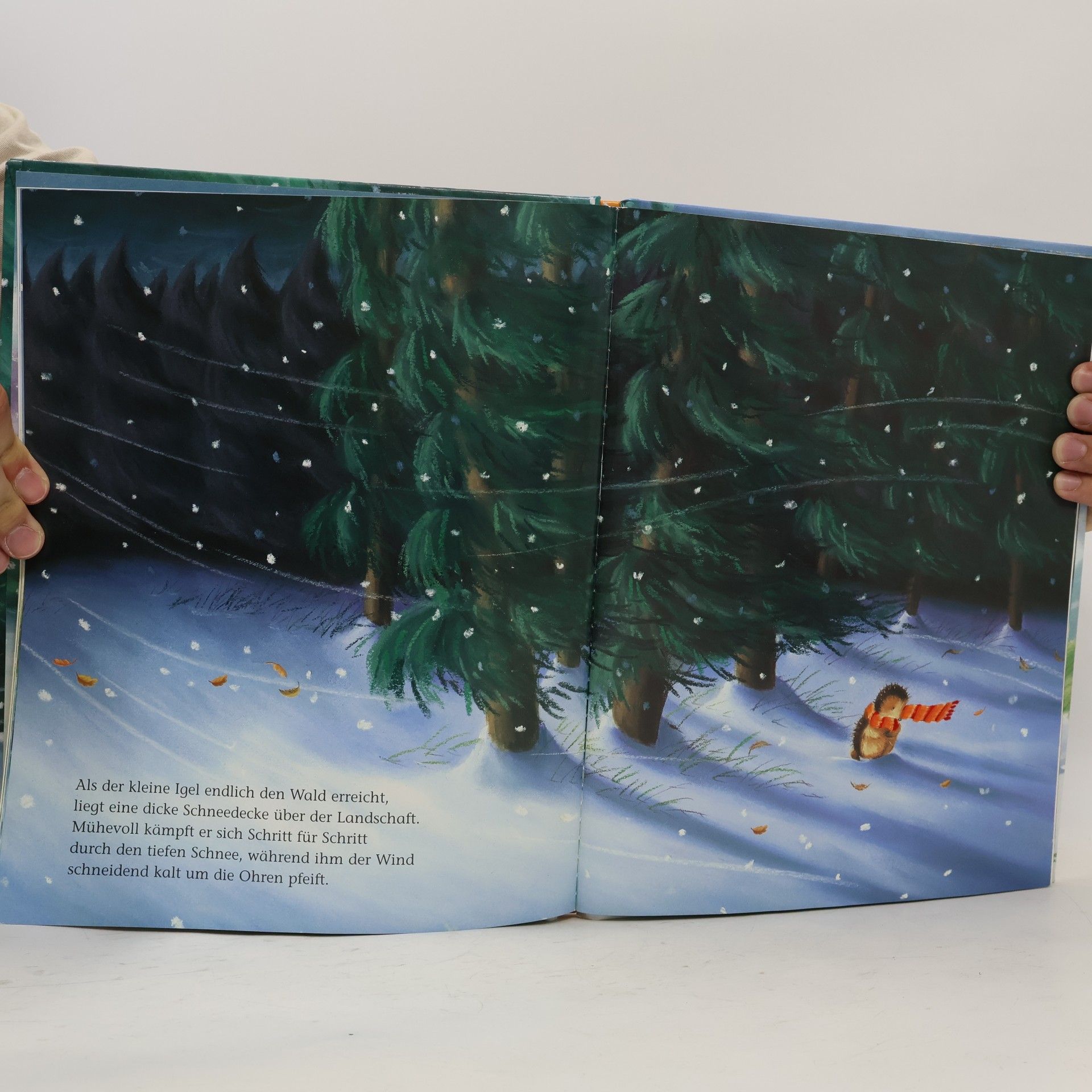 Christina M. Butler Der kleine Igel und das große Geschenk