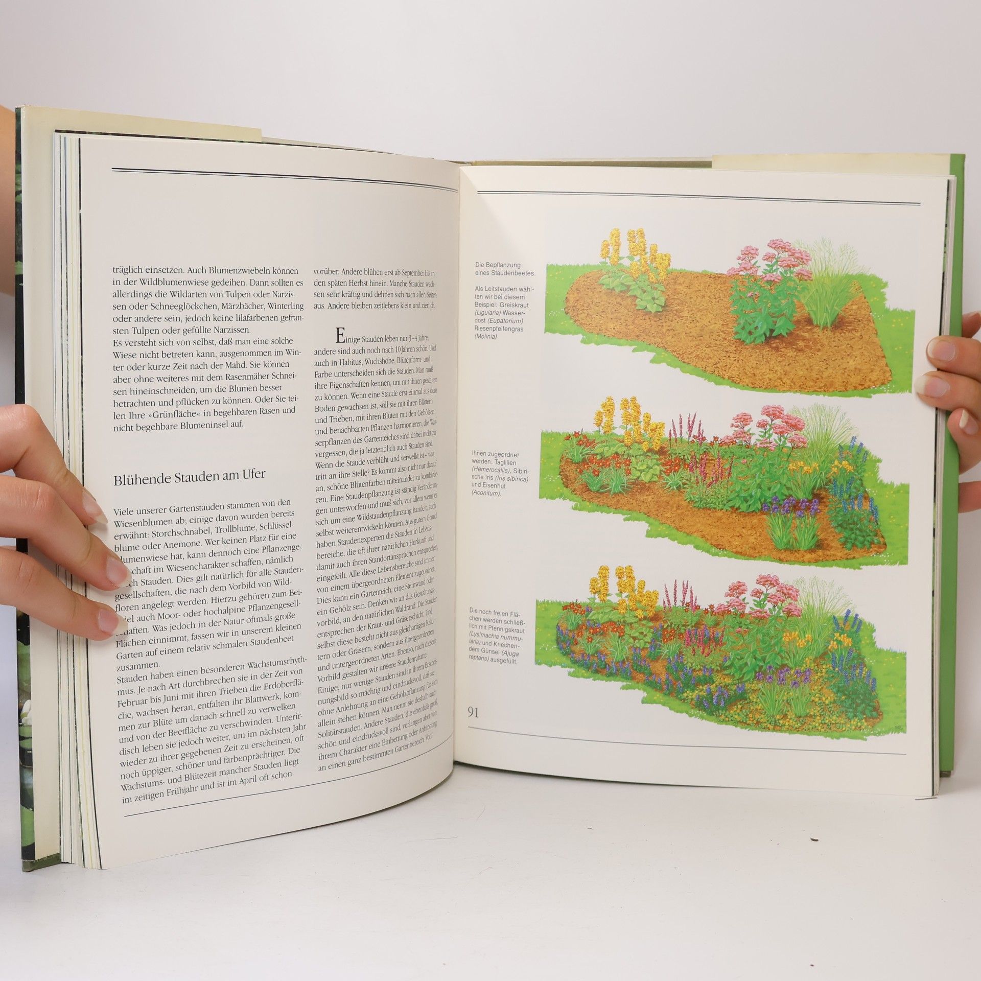 Various authors Faszination Gartenteich