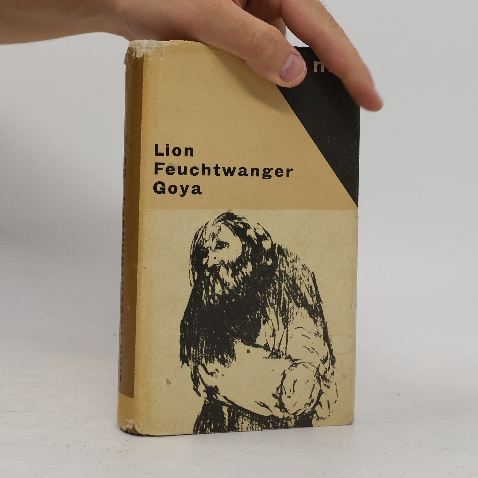 Lion Feuchtwanger Goya