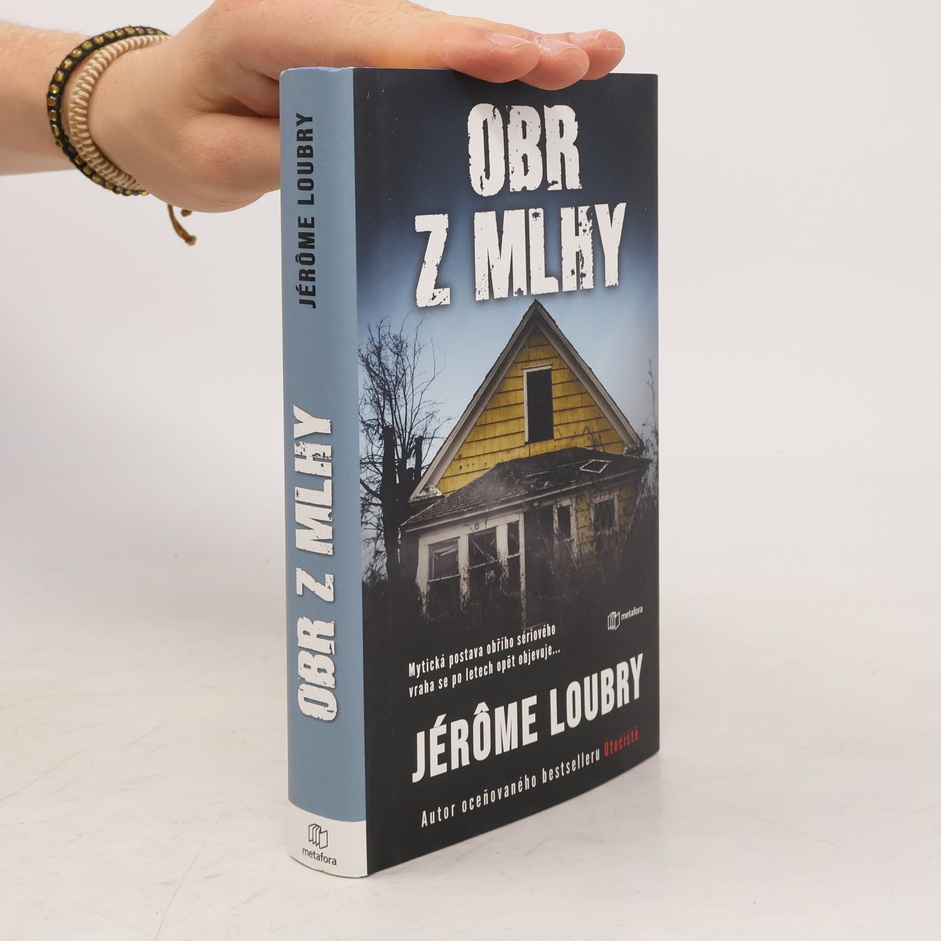 Jérôme Loubry Obr z mlhy