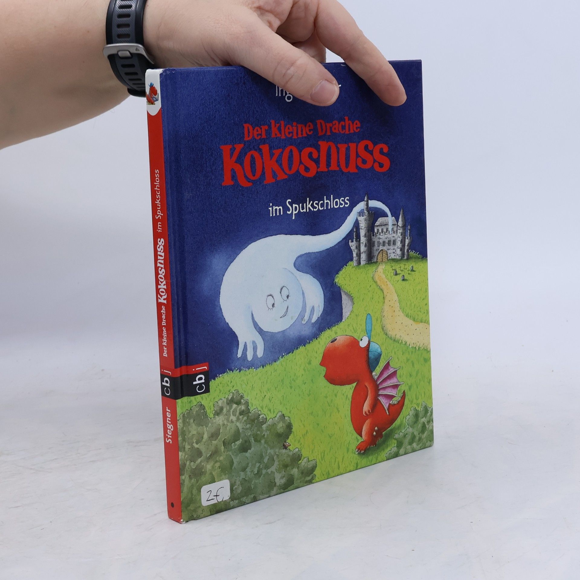 Ingo Siegner Der kleine Drache Kokosnuss im Spukschloss