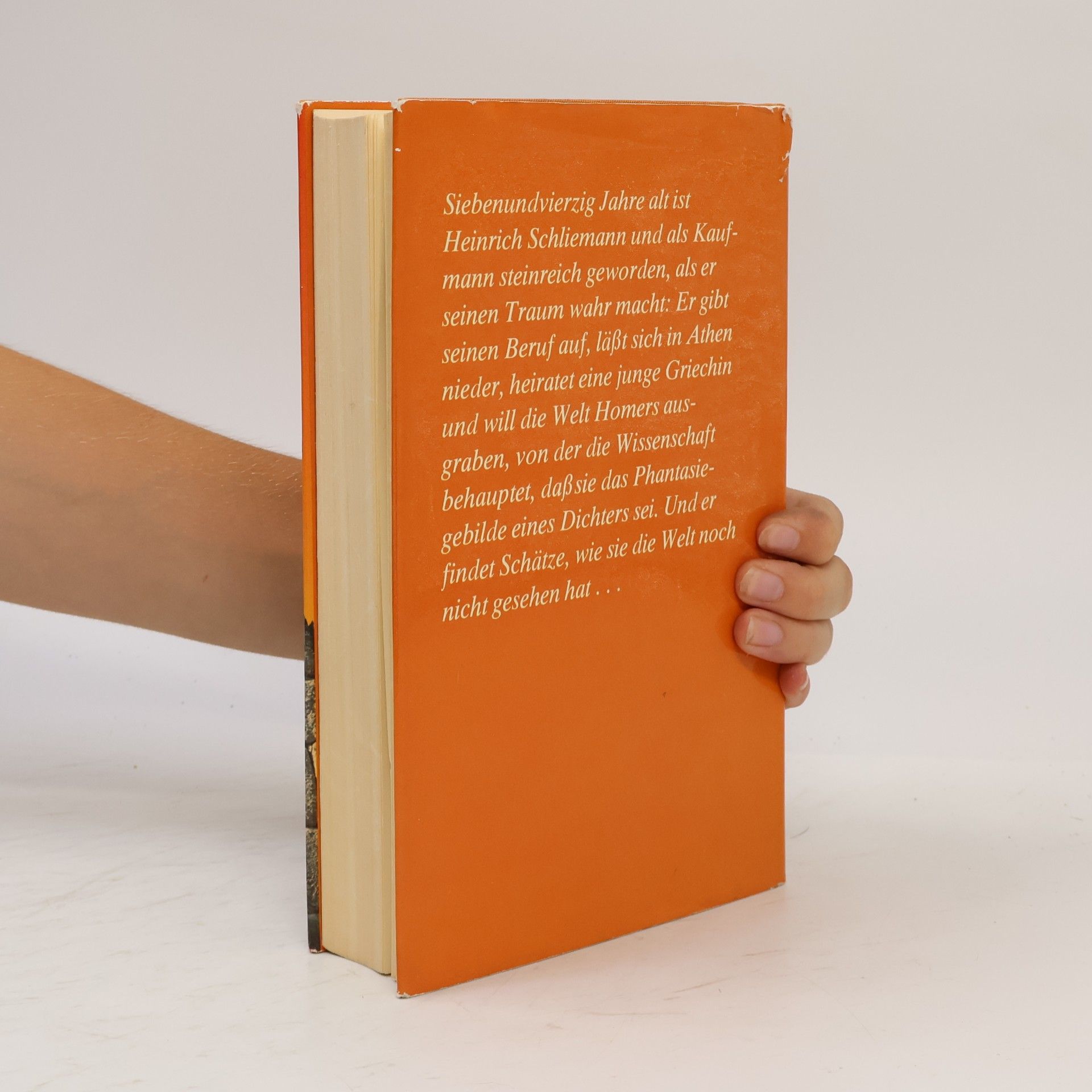 Irving Stone Der griechische Schatz