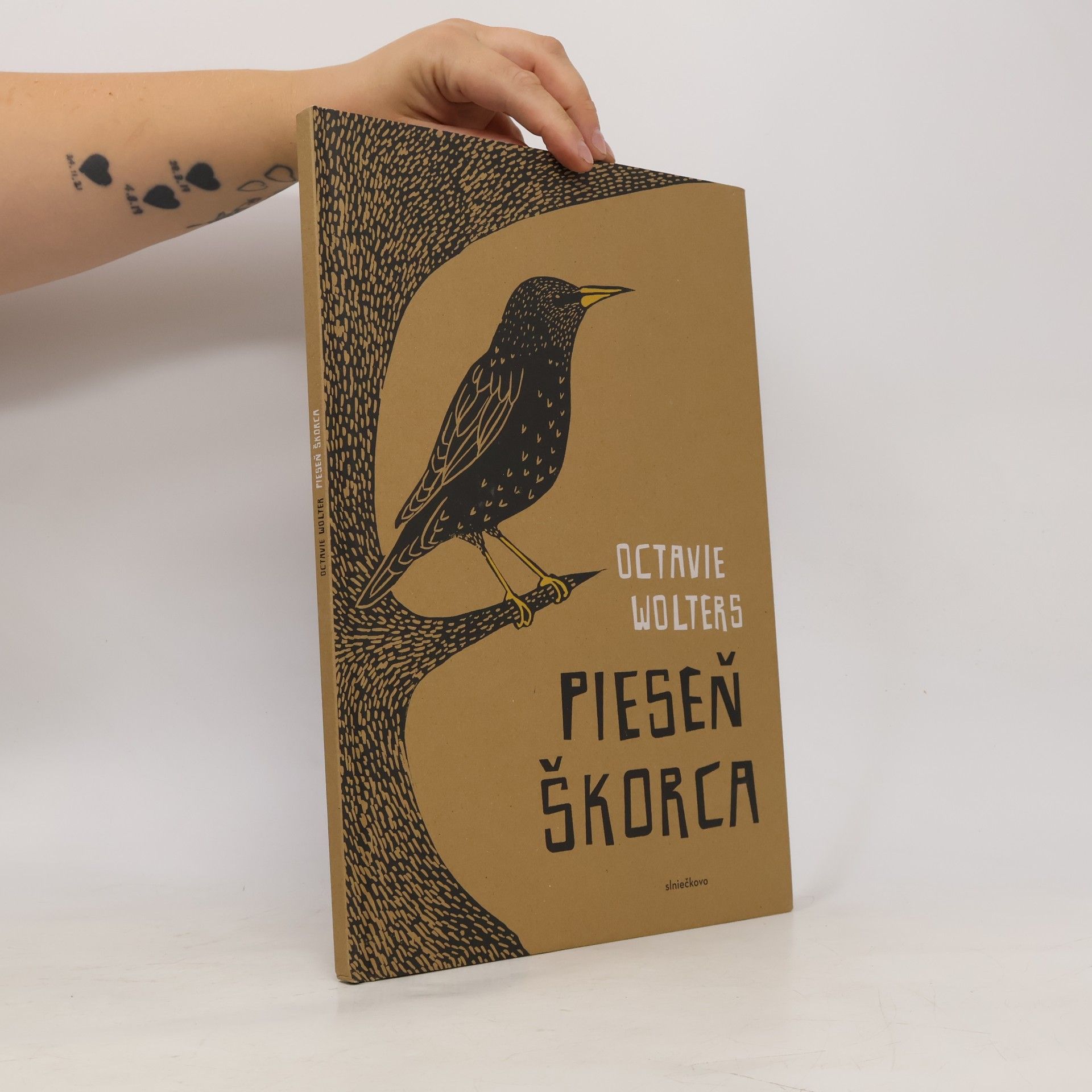 Zoran Oravec Pieseň škorca