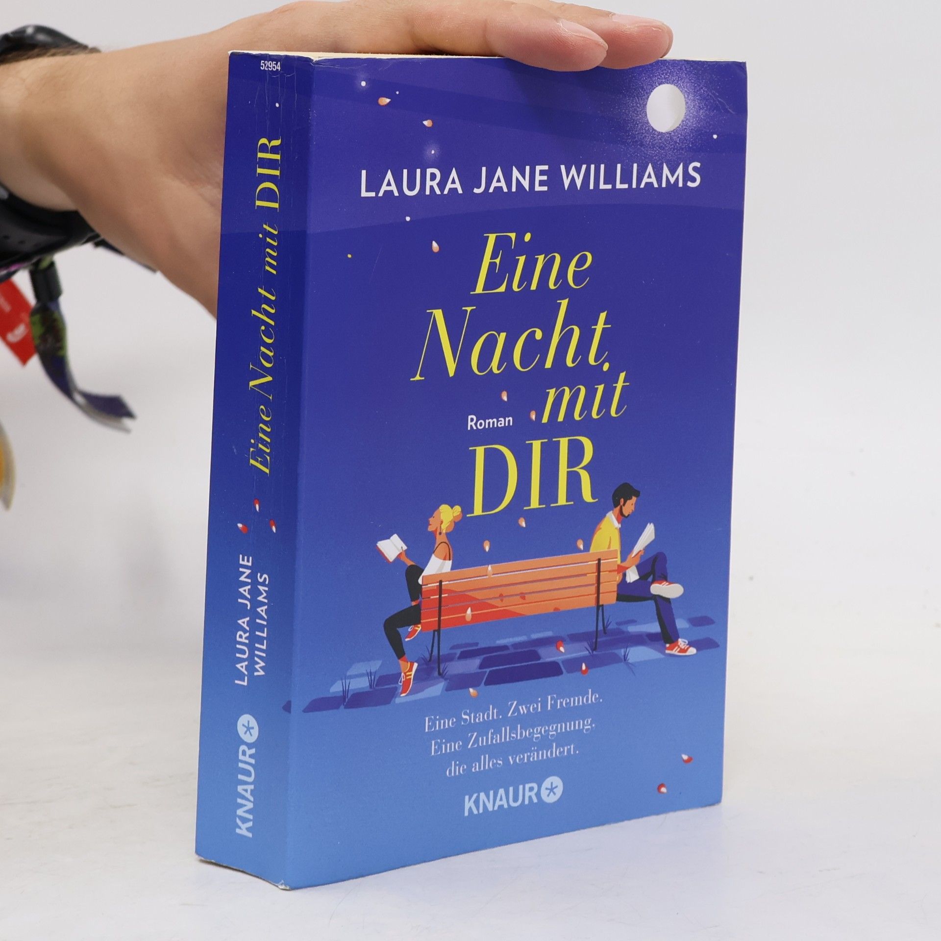 Laura Jane Williams Eine Nacht mit dir
