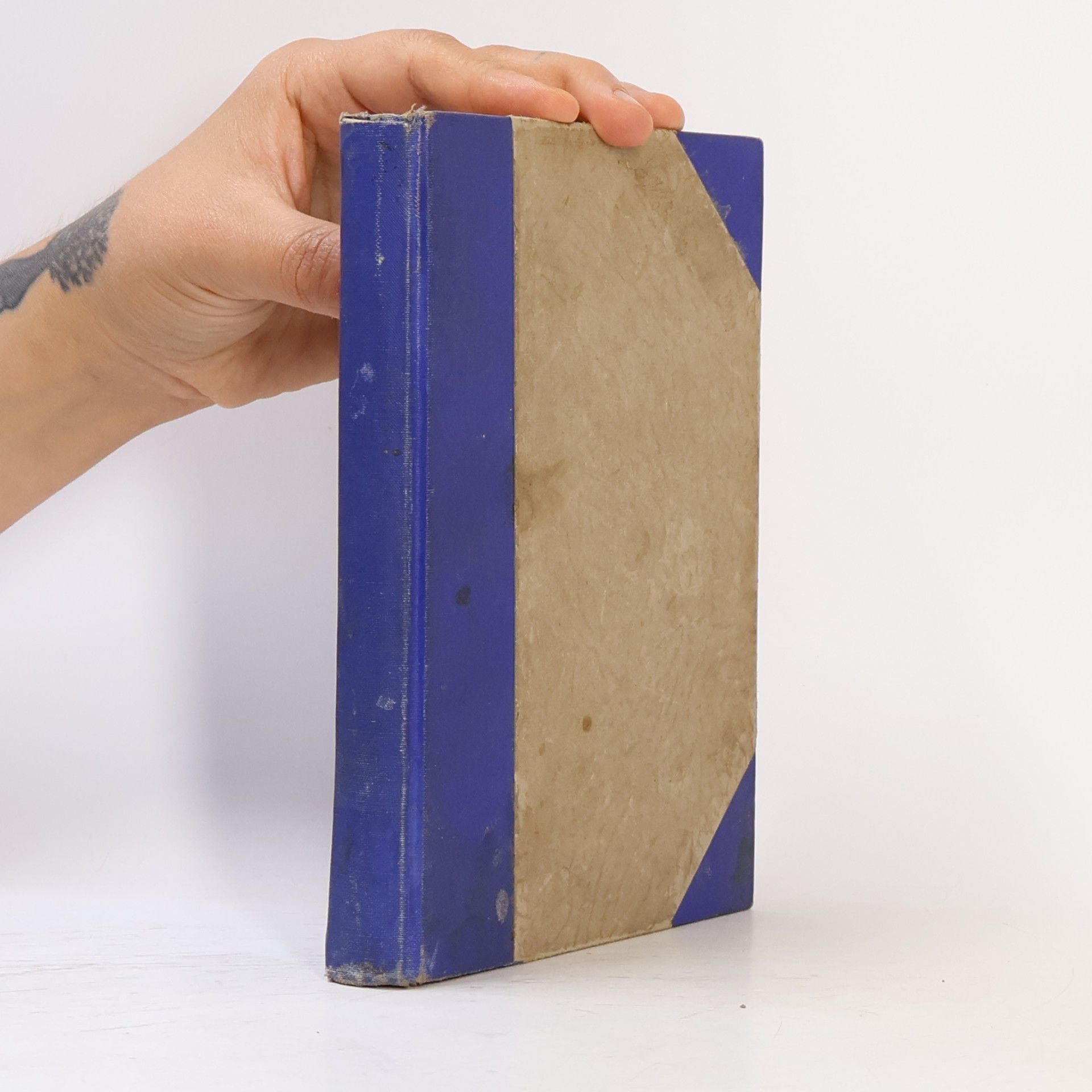 Pomsta V.