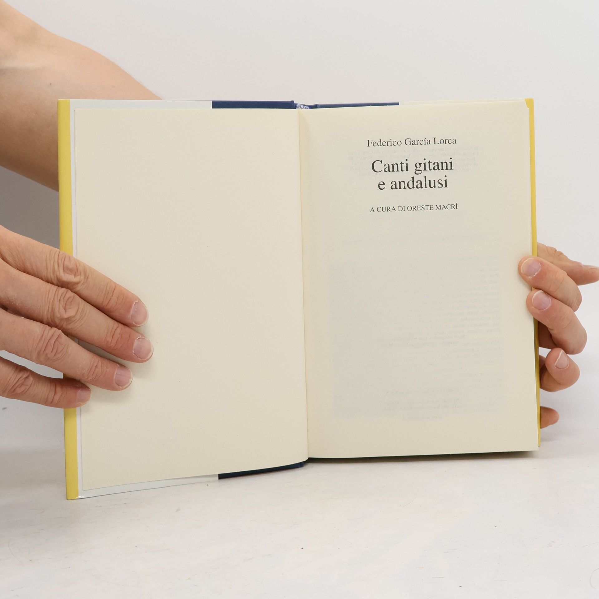 Federico García Lorca Canti gitani e andalusi