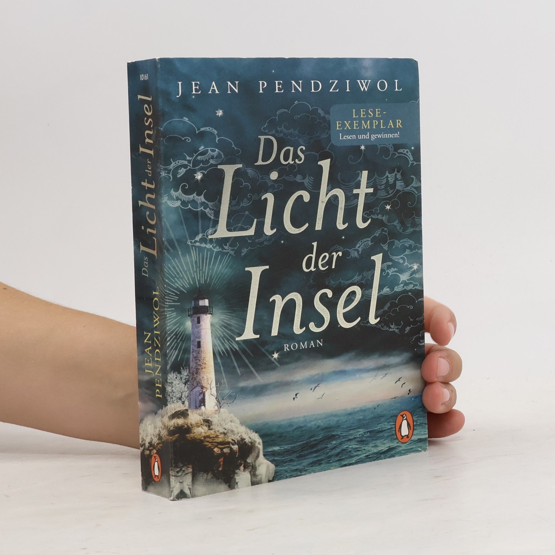 Jean Pendziwol Das Licht der Insel