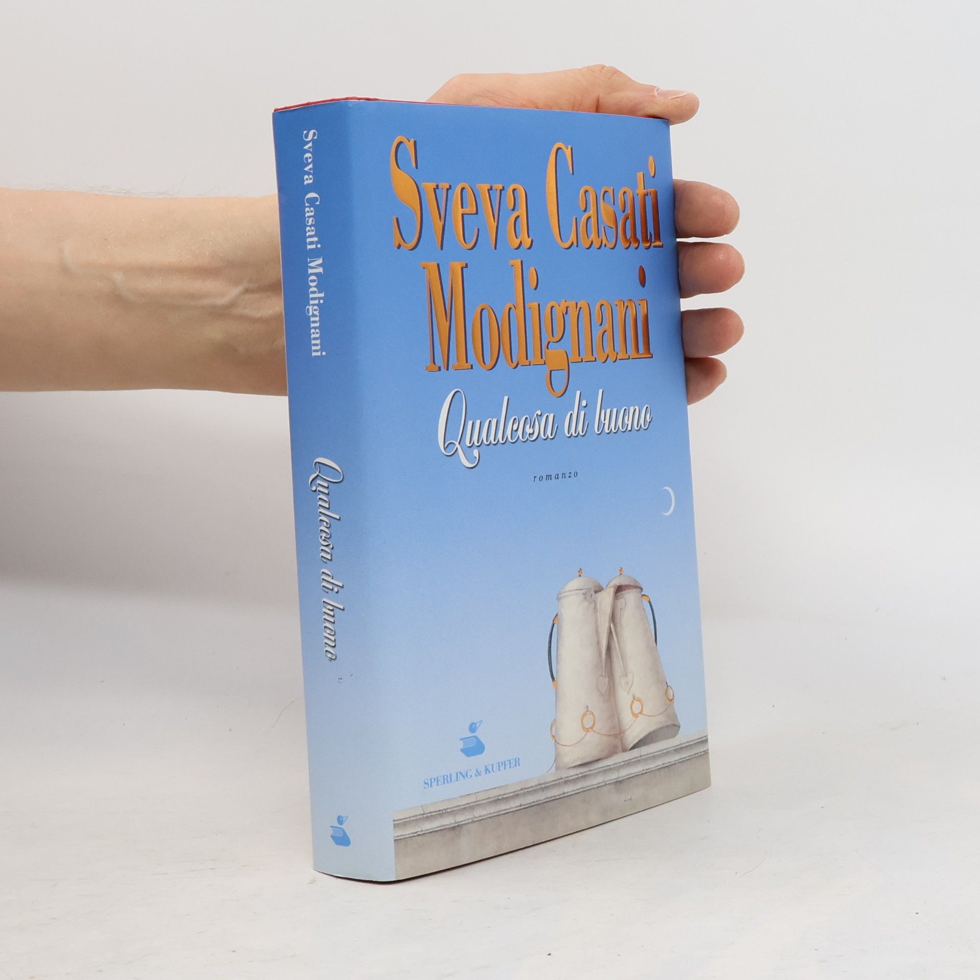 Sveva Casati Modignani Qualcosa di buono