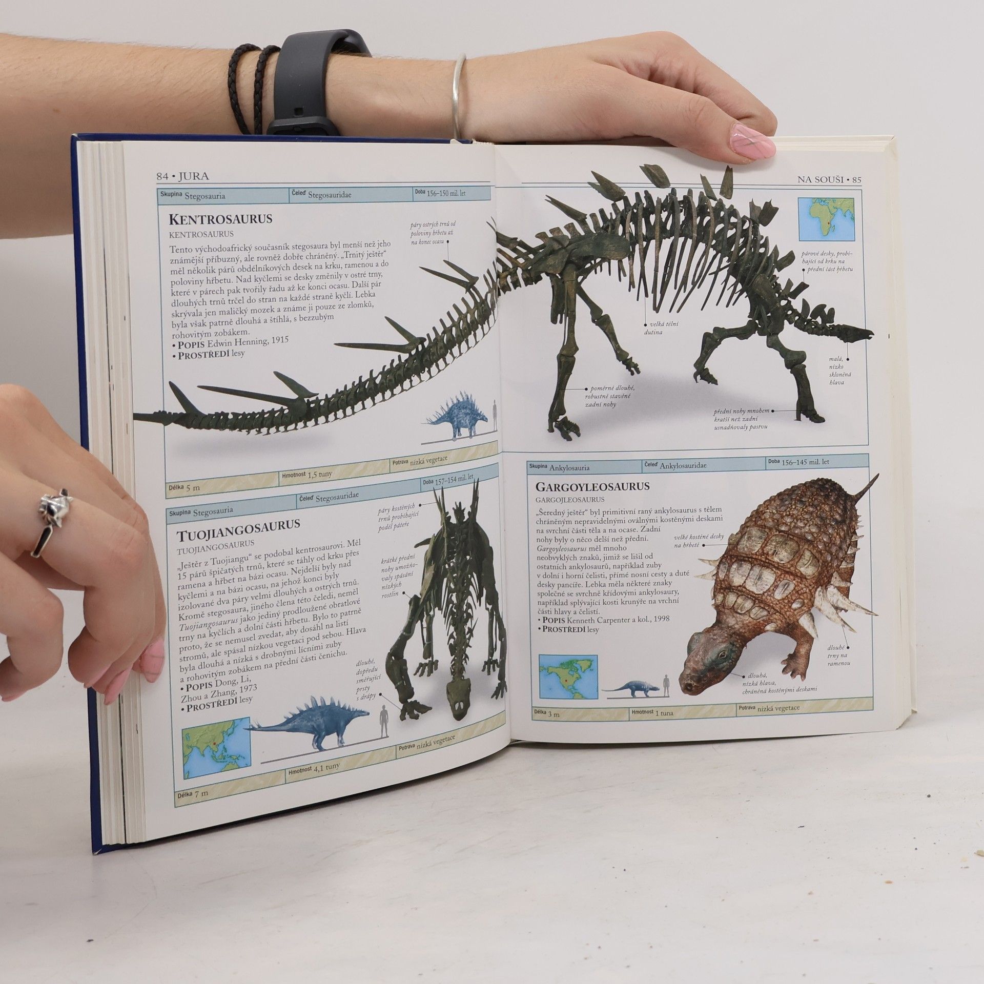 Hazel Richardson Dinosauři a život v pravěku