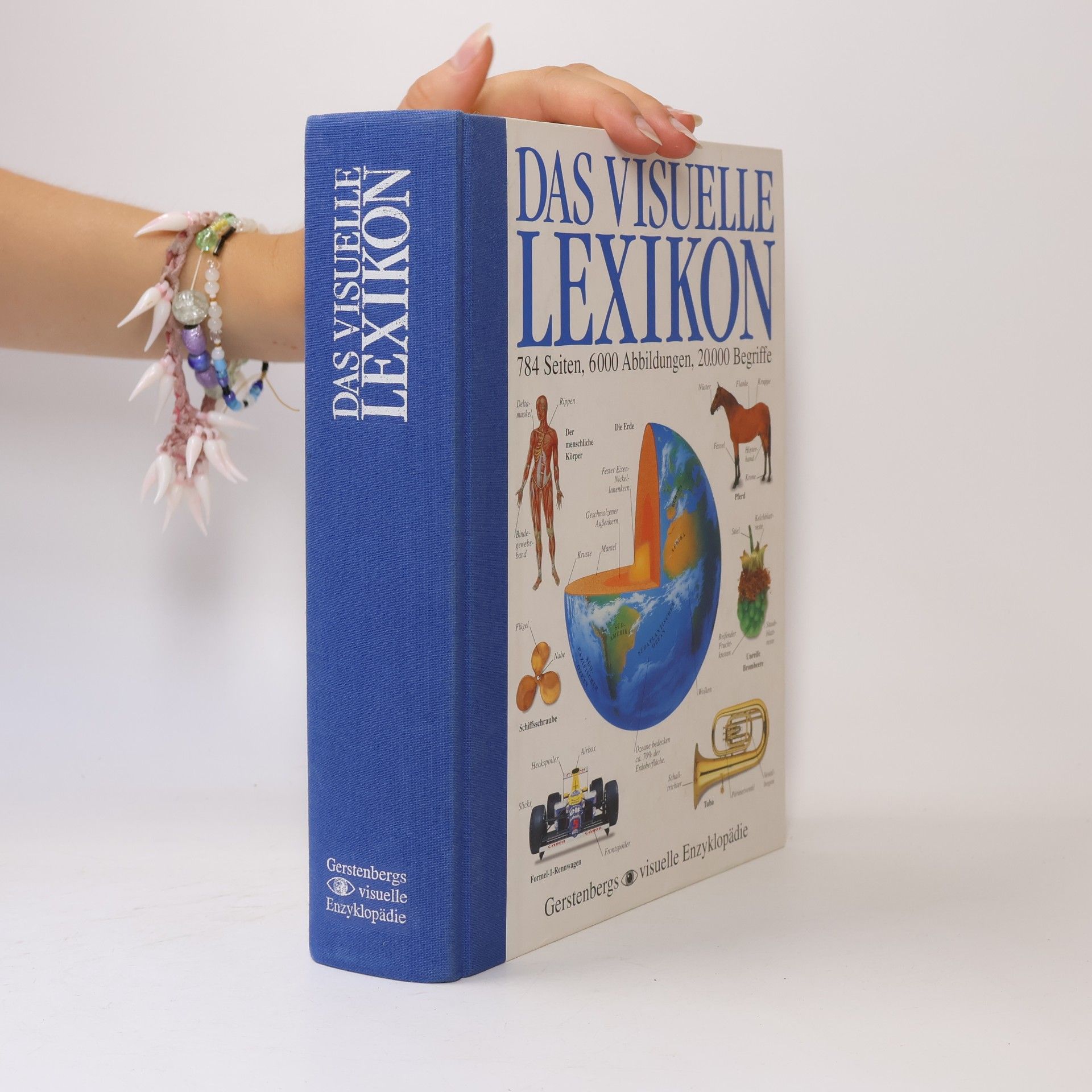 Margot Wilhelmi Das visuelle Lexikon