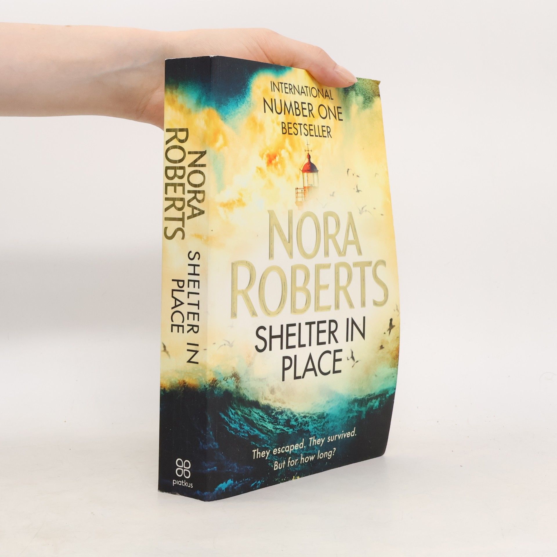 Nora Roberts Shelter in Place