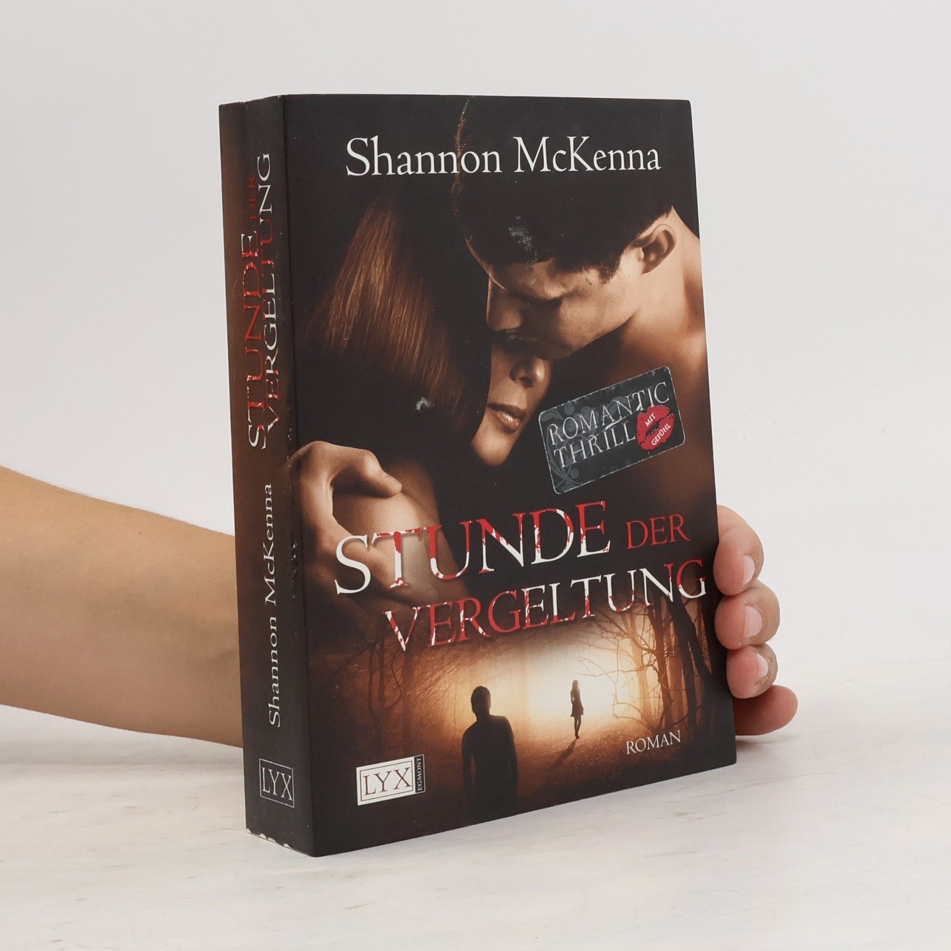 Shannon McKenna Stunde der Vergeltung