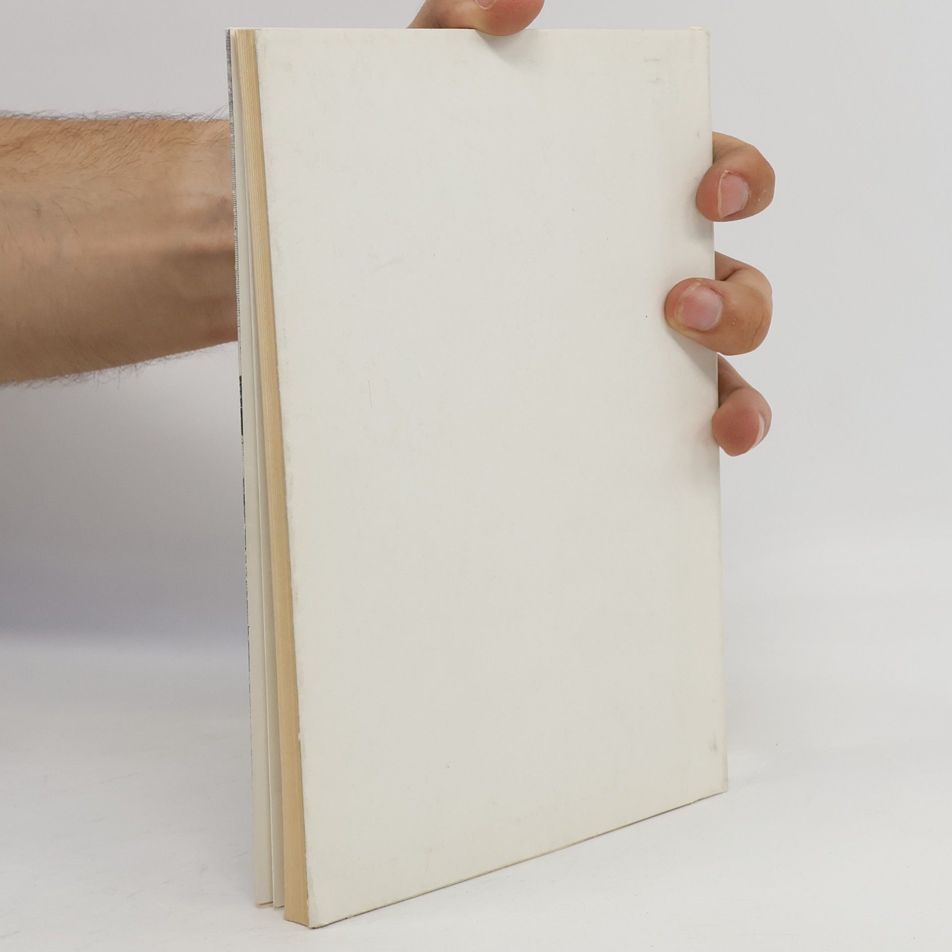 Autorenkollektiv Památky středních Čech 3. díl