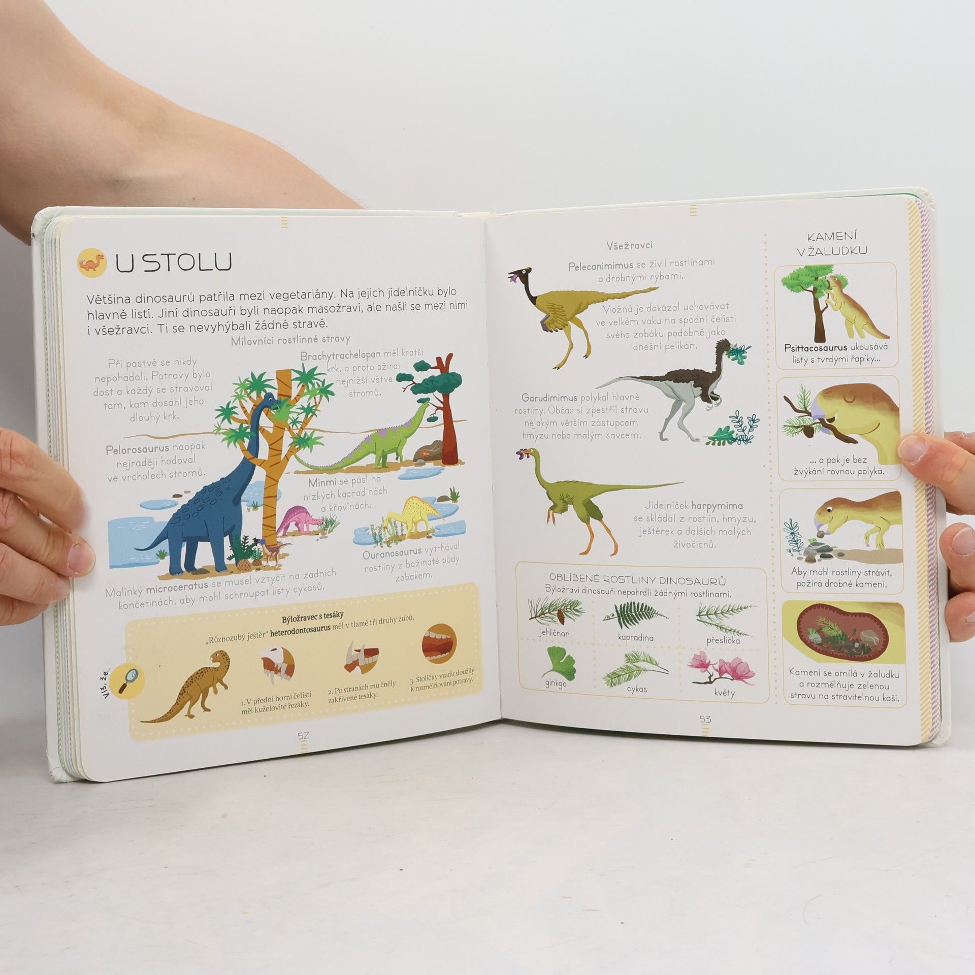 Sylvie Bézuel Encyklopedie Larousse - Dinosauři