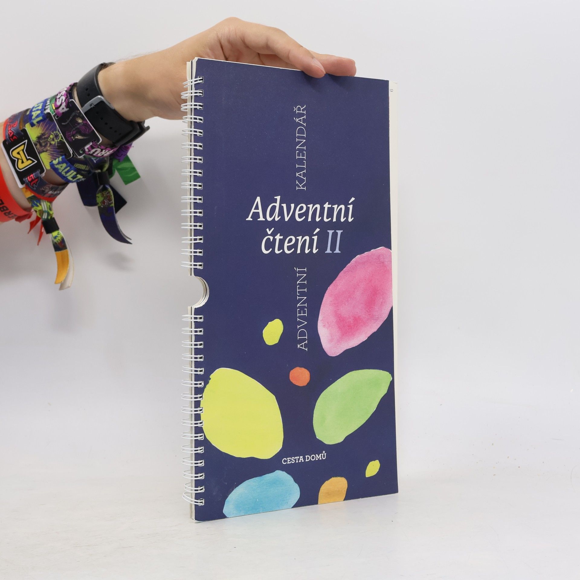 Auteurscollectief Adventní čtení II
