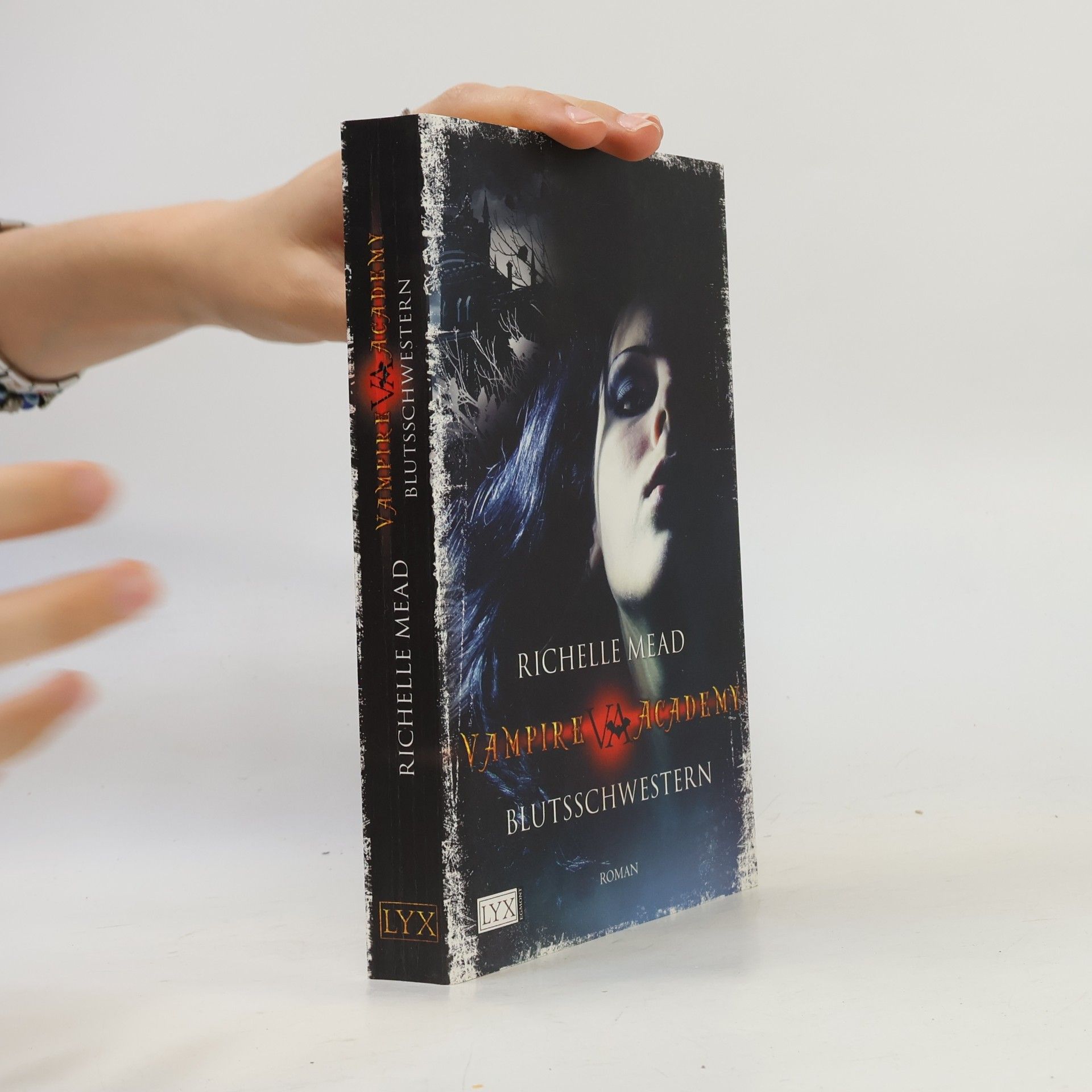 Richelle Mead Vampire Academy