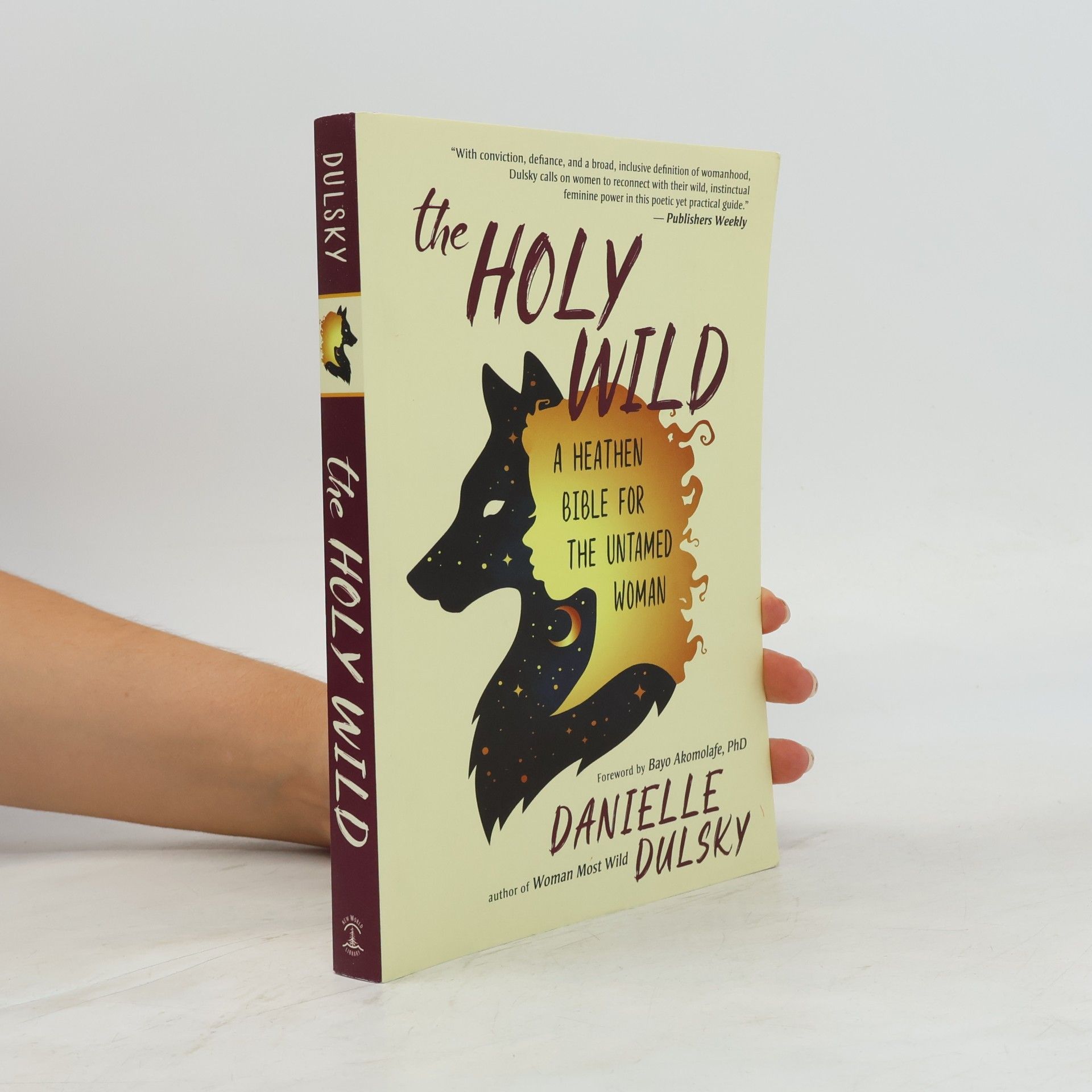 Bayo Akomolafe The Holy Wild