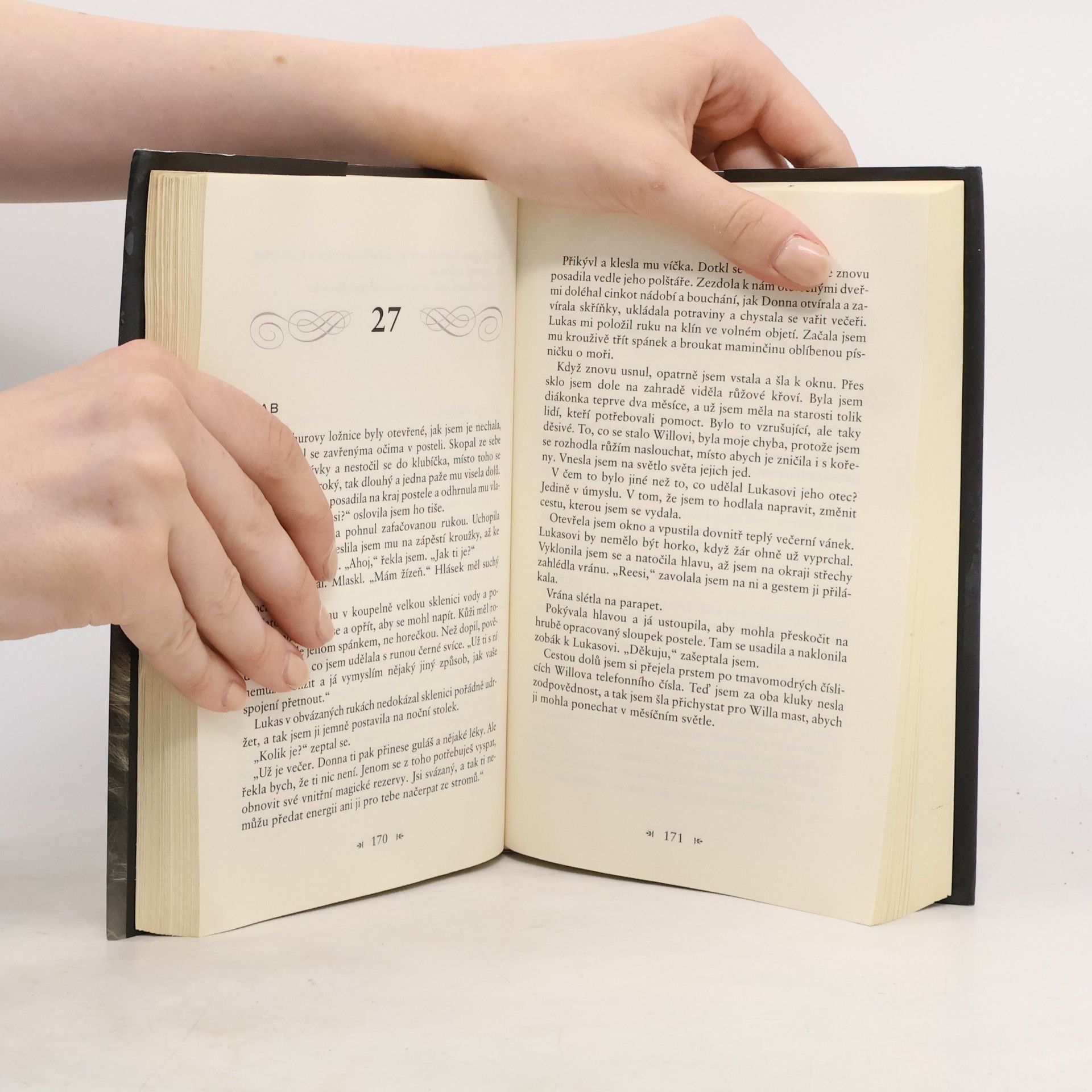 Tessa Gratton Strážkyně krve