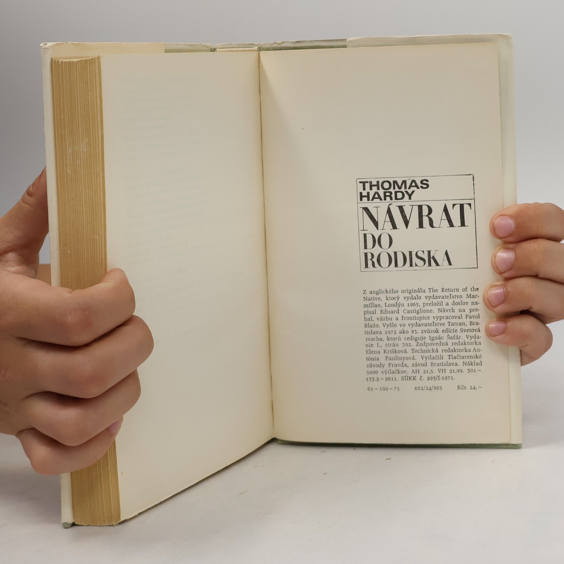 Thomas Hardy Návrat do rodiska