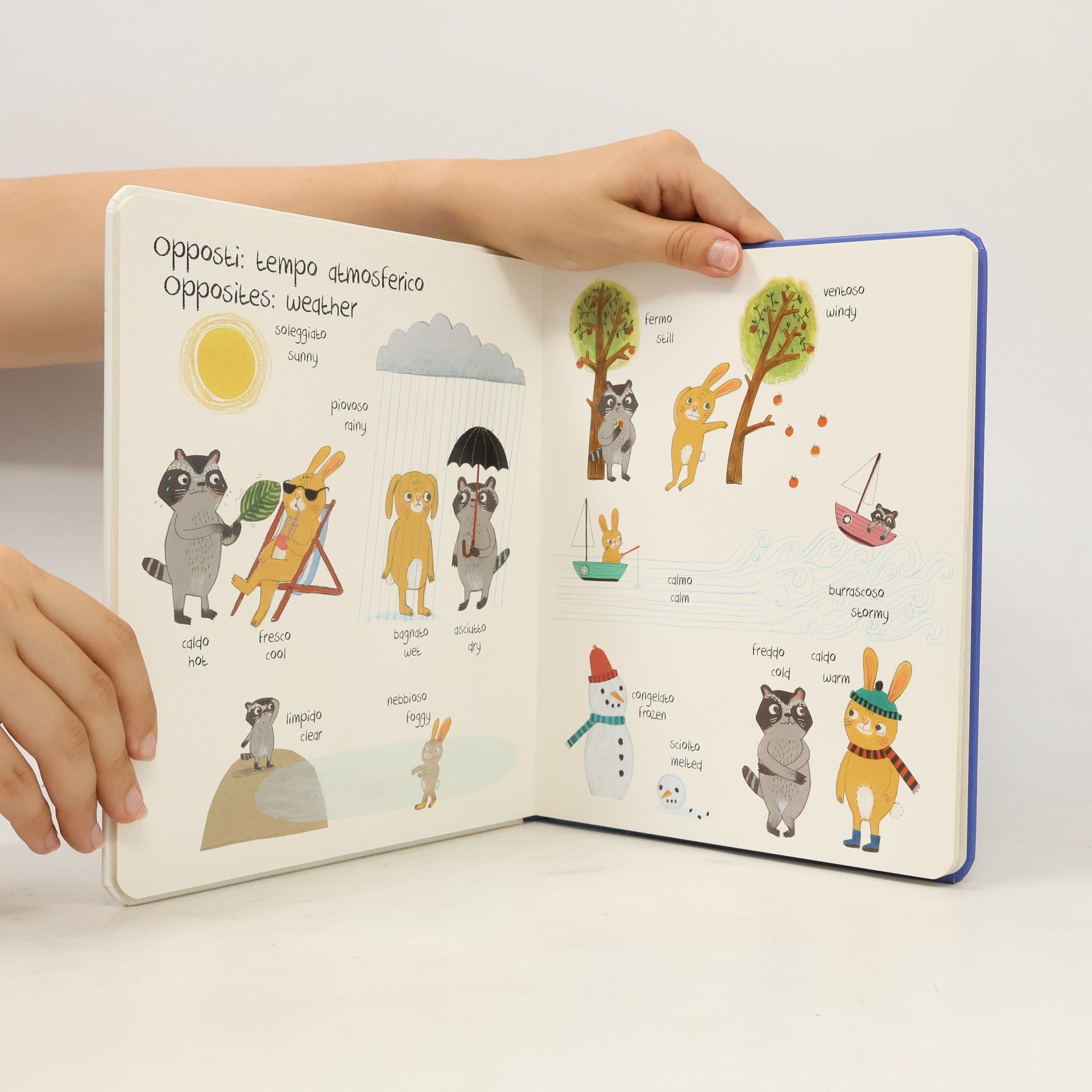 Sarah Dyer Il mio primo libro degli opposti. Ediz. italiana e inglese
