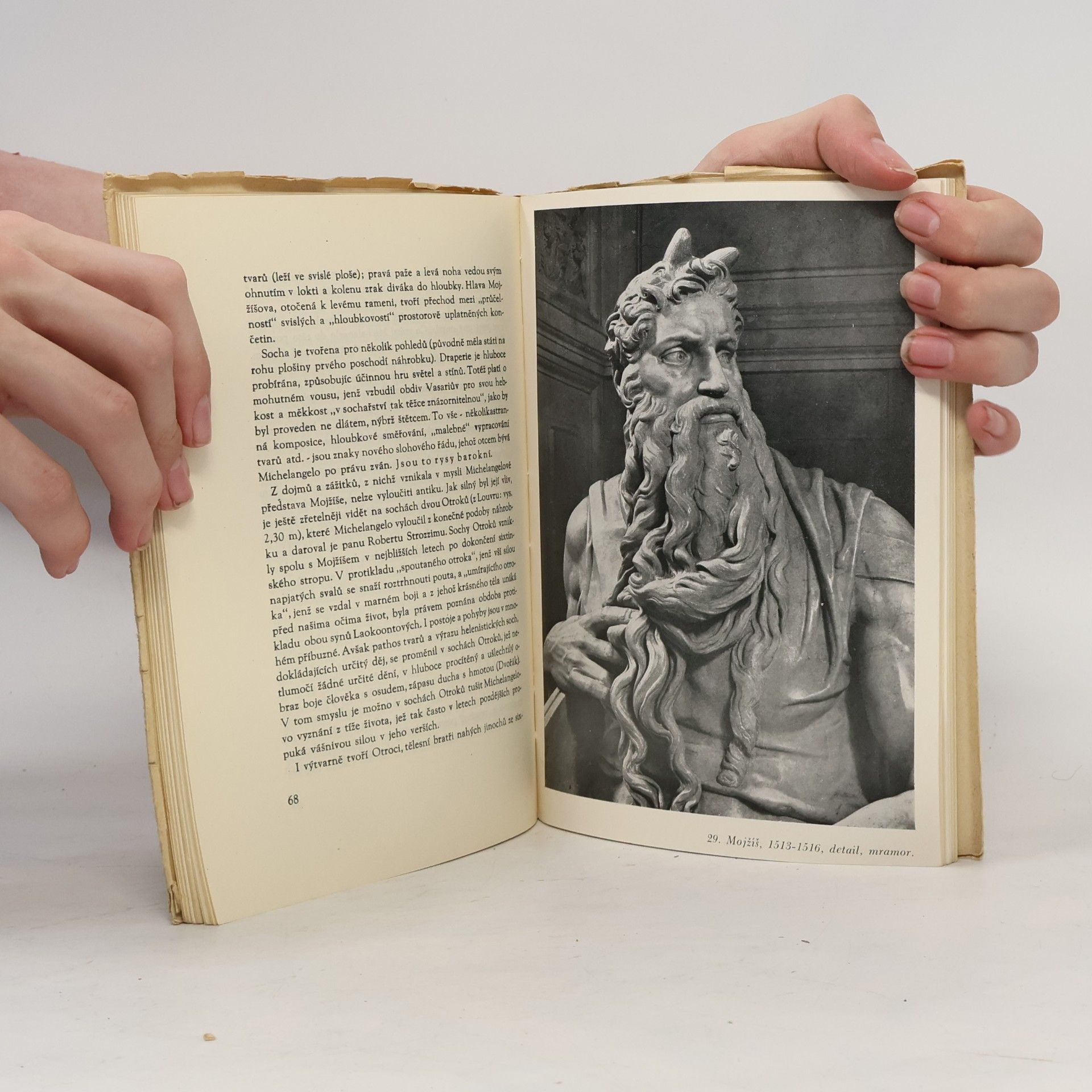 Jaromír Pečírka Michelangelo Buonarroti