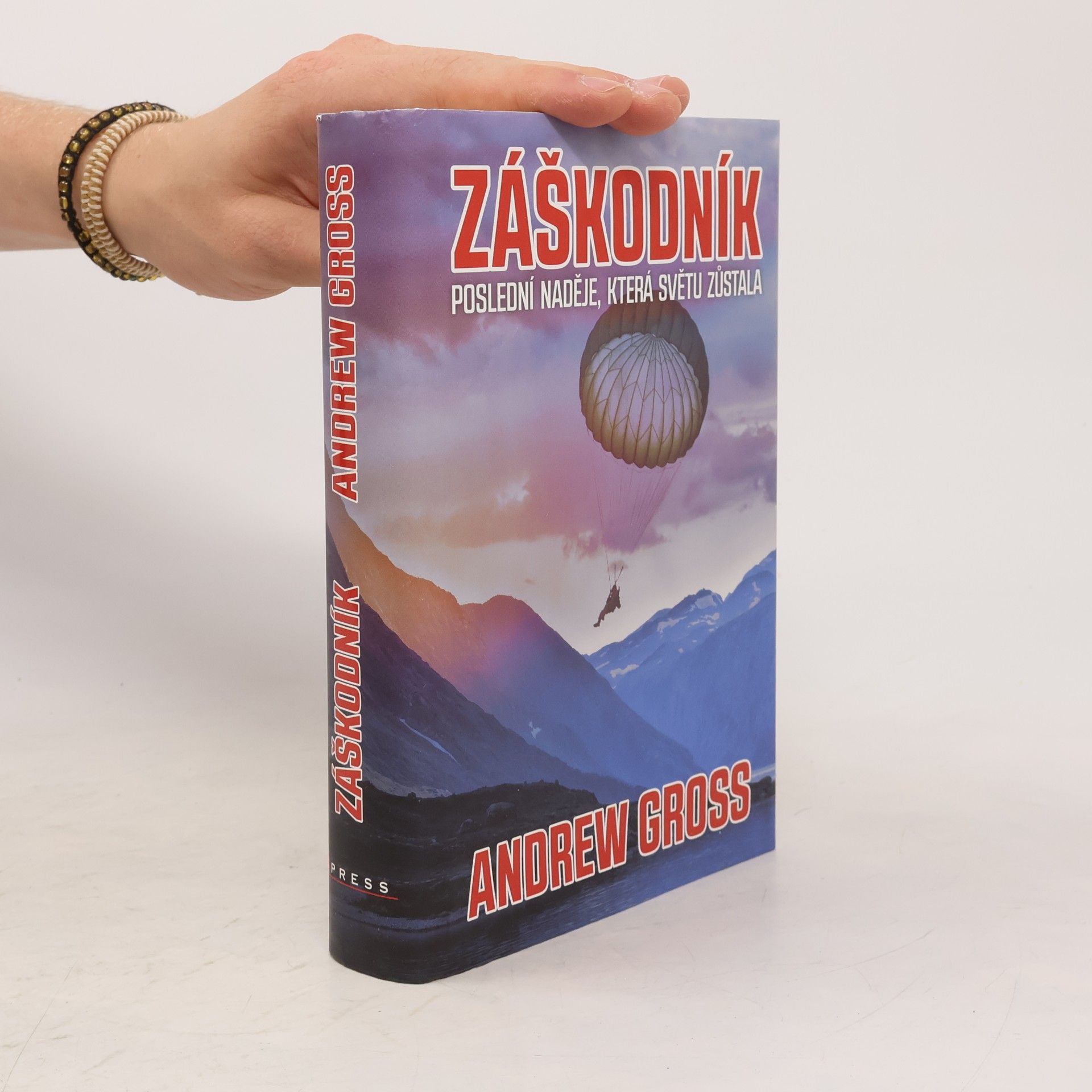 Andrew Gross Záškodník