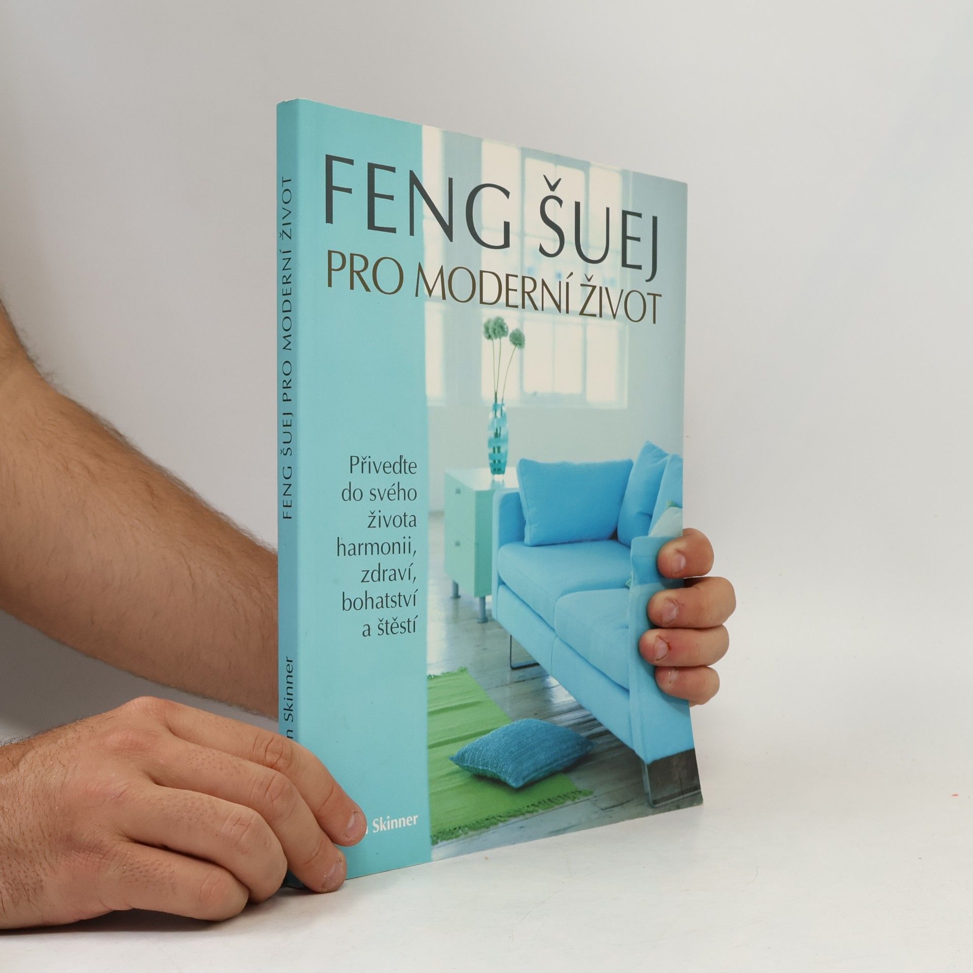 Stephen Skinner Feng šuej pro moderní život