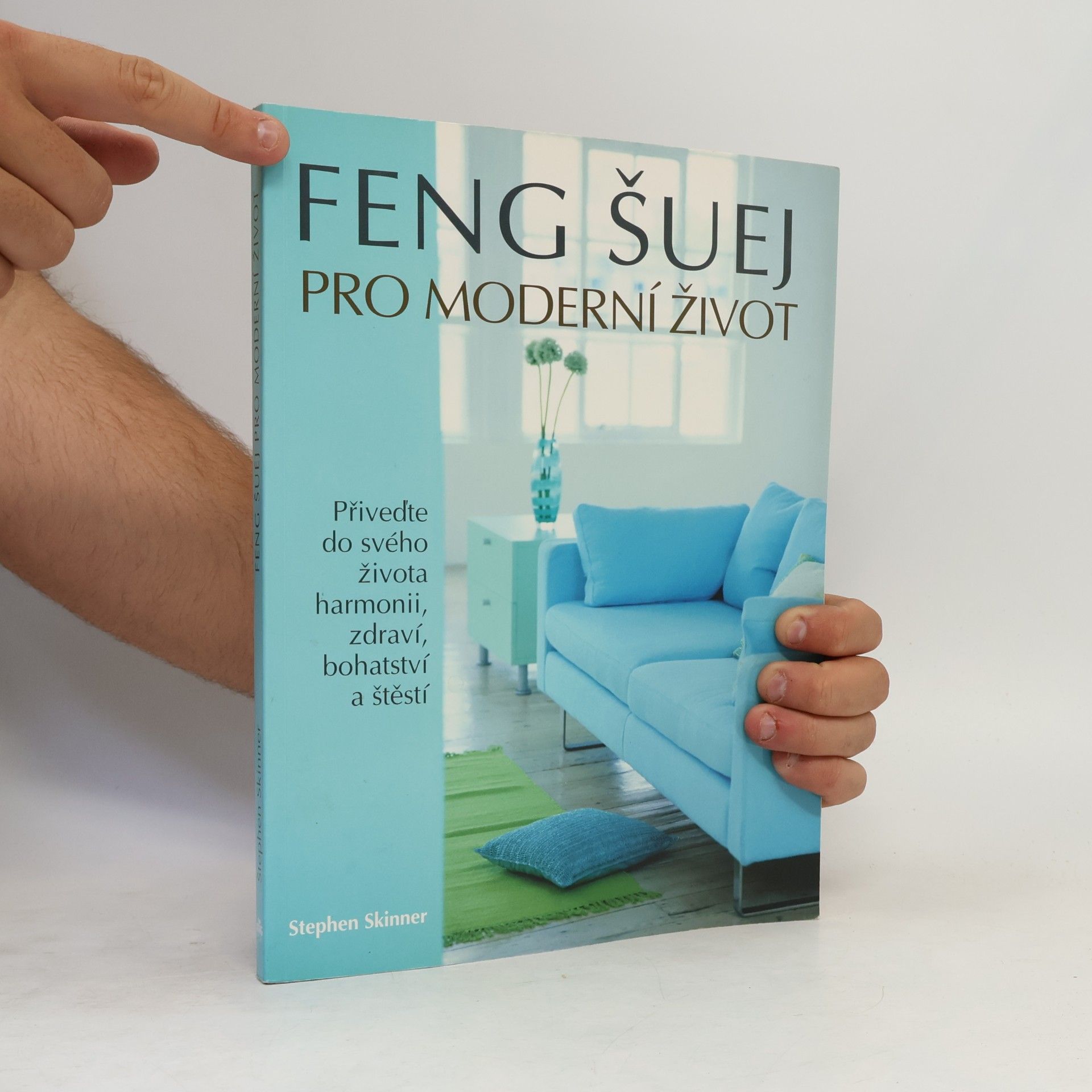 Stephen Skinner Feng šuej pro moderní život