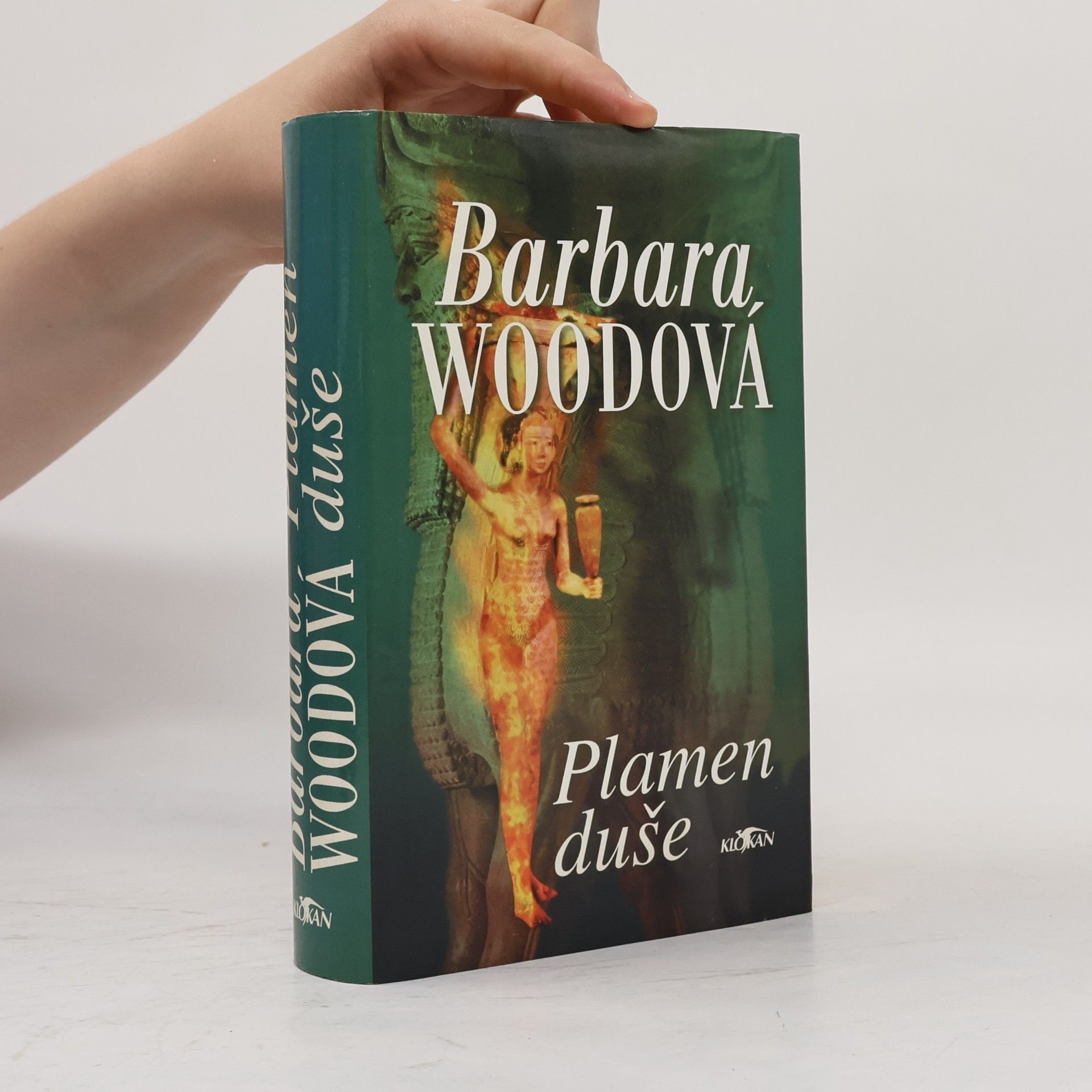 Barbara Wood Plamen duše