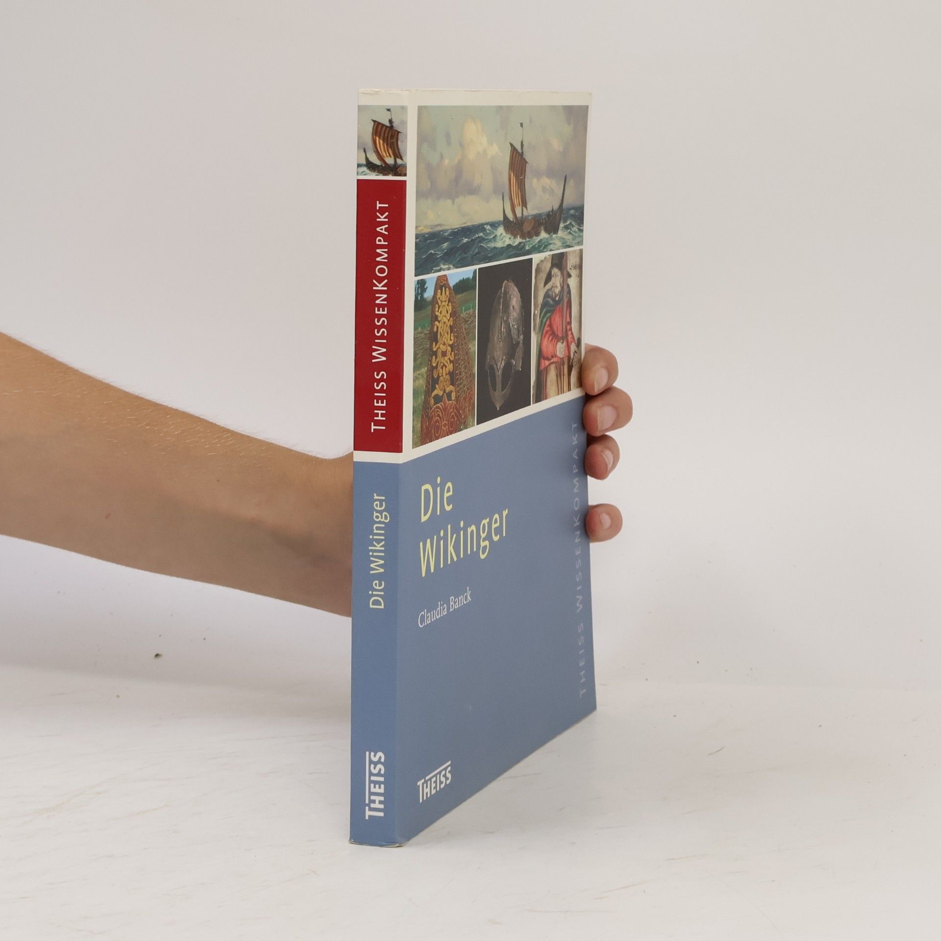 Theiss WissenKompakt: Die Wikinger