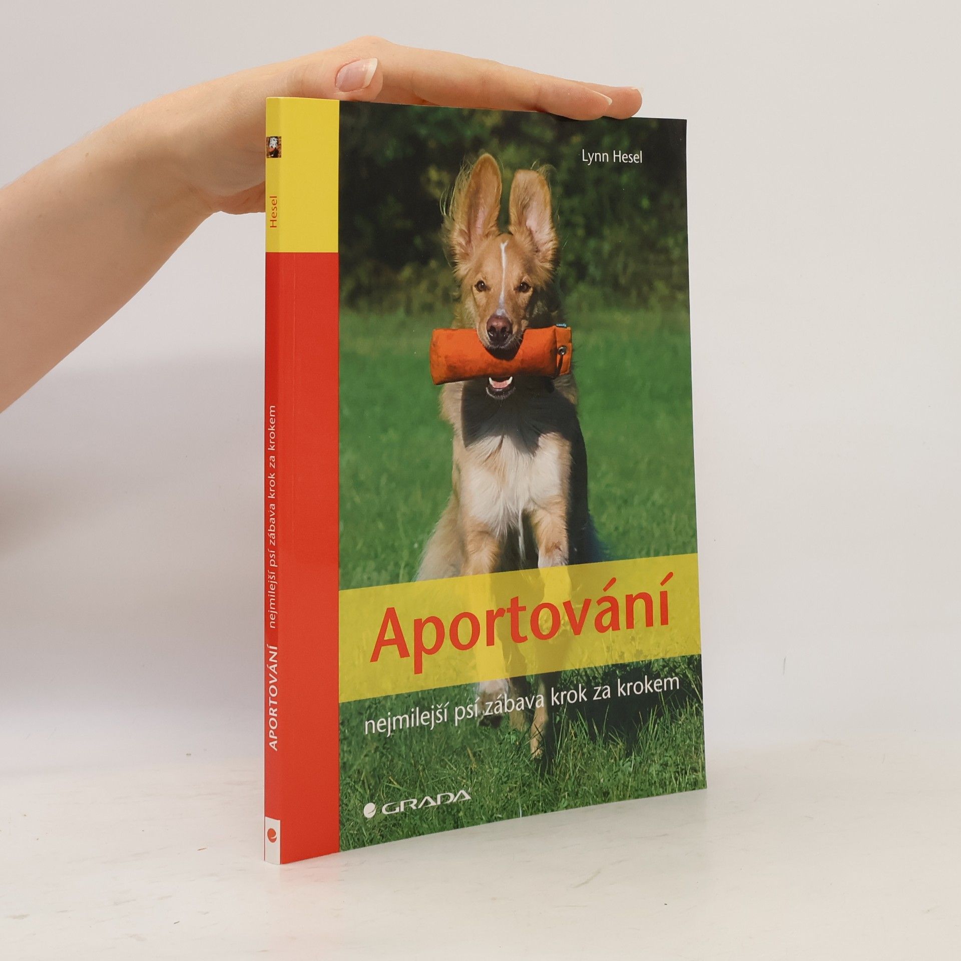 Lynn Hesel Aportování