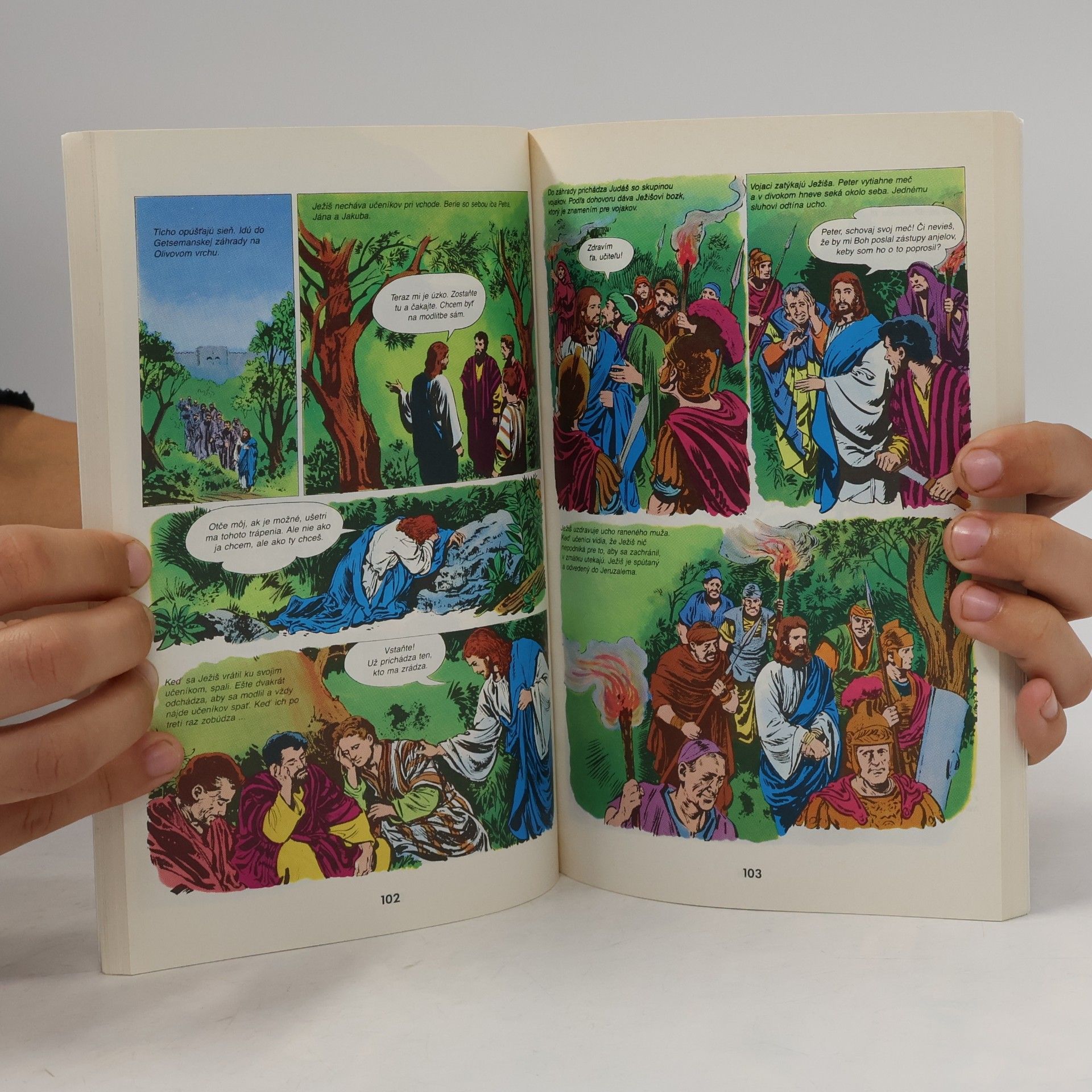 Collectif d'auteurs Nová Zmluva Obrázková Biblia