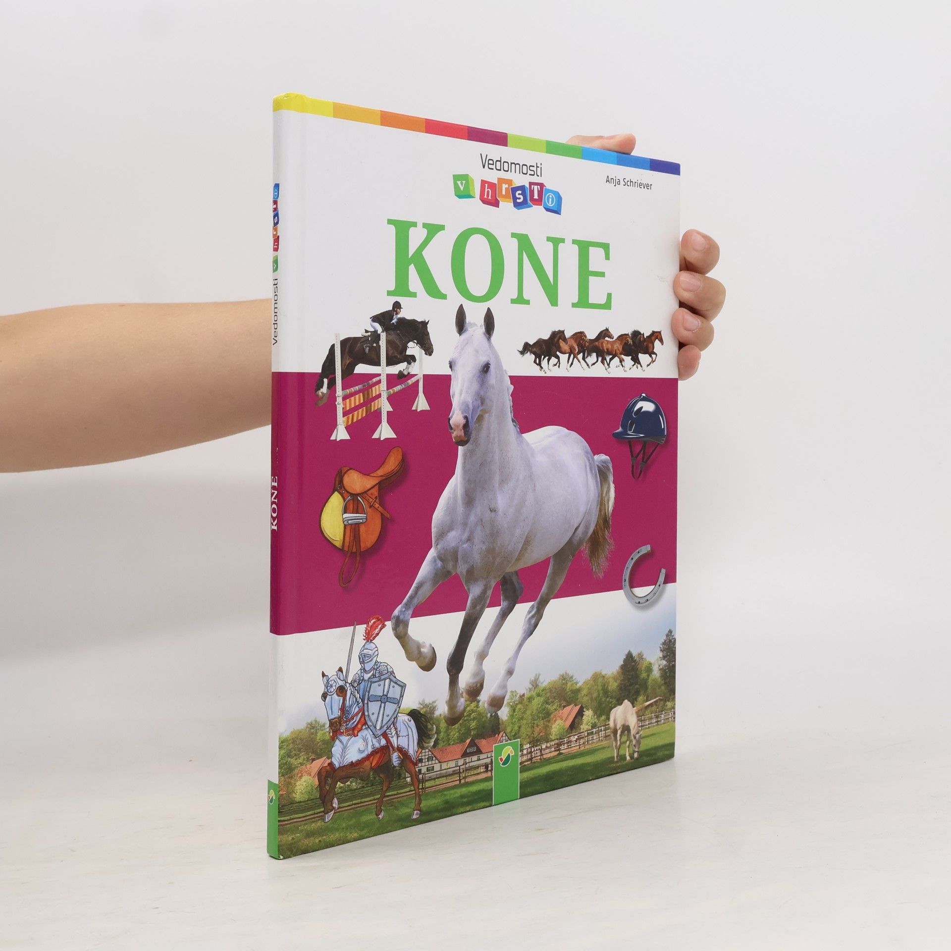 Anja Schriever Kone