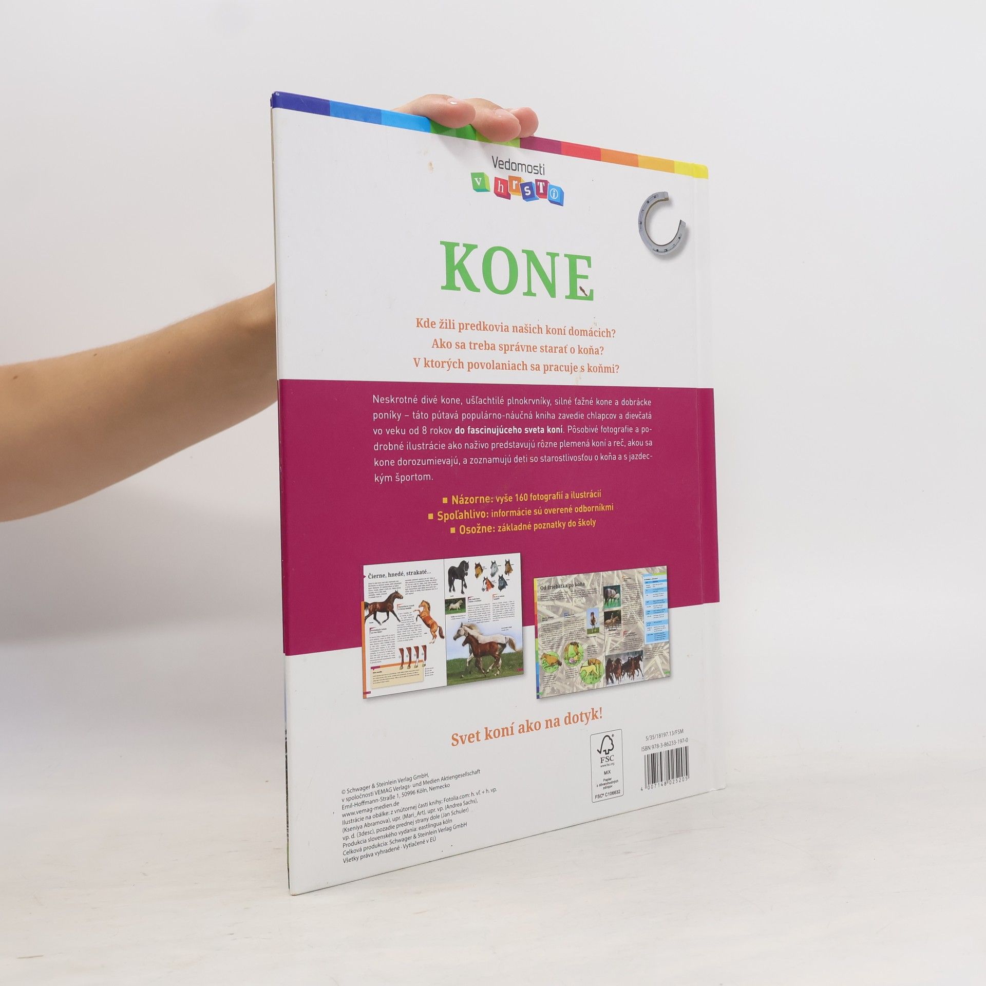 Anja Schriever Kone