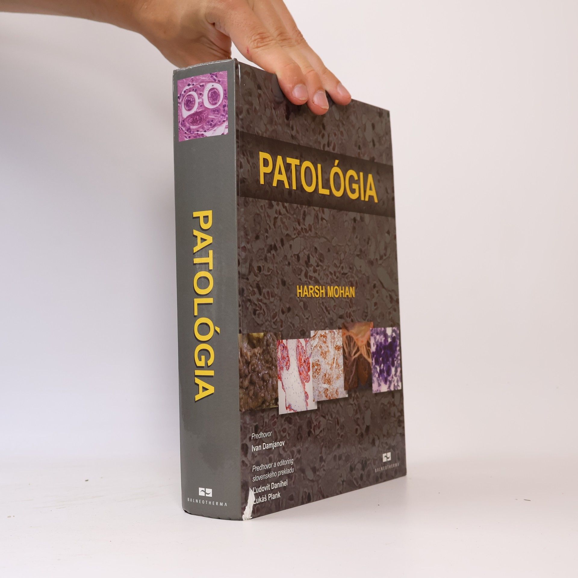 Ľudovít Danihel Patológia