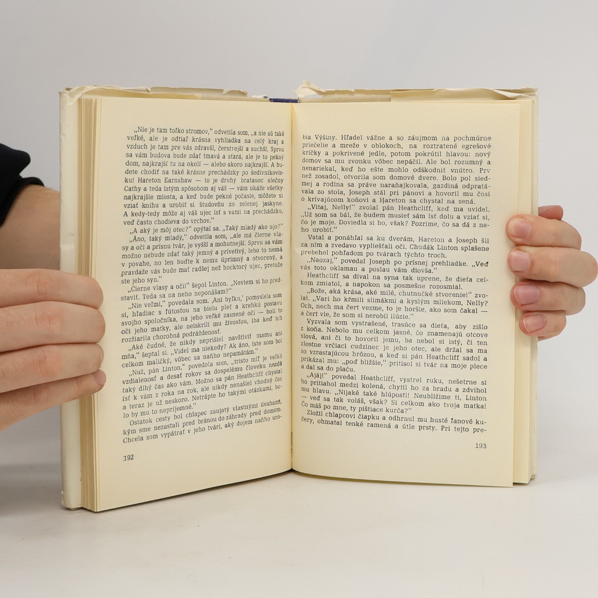 Emily Brontë Búrlivé výšiny