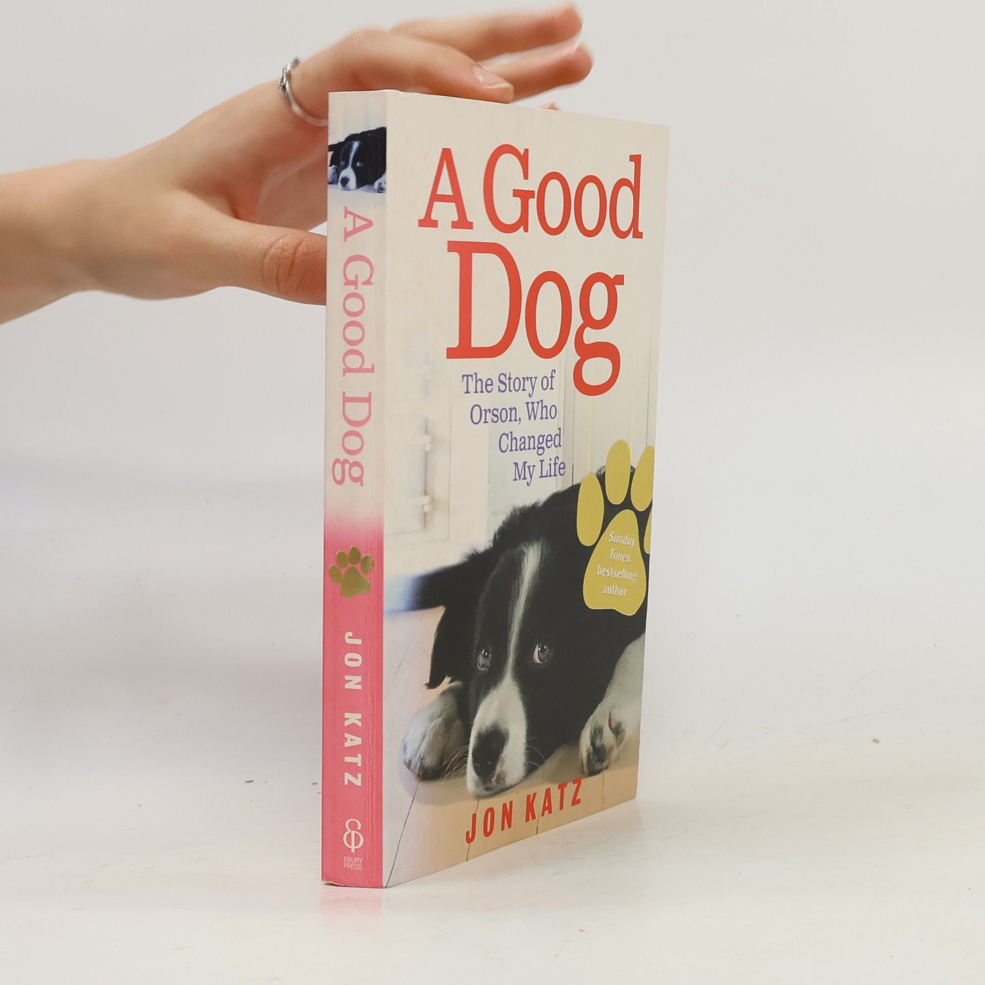 Jon Katz A Good Dog