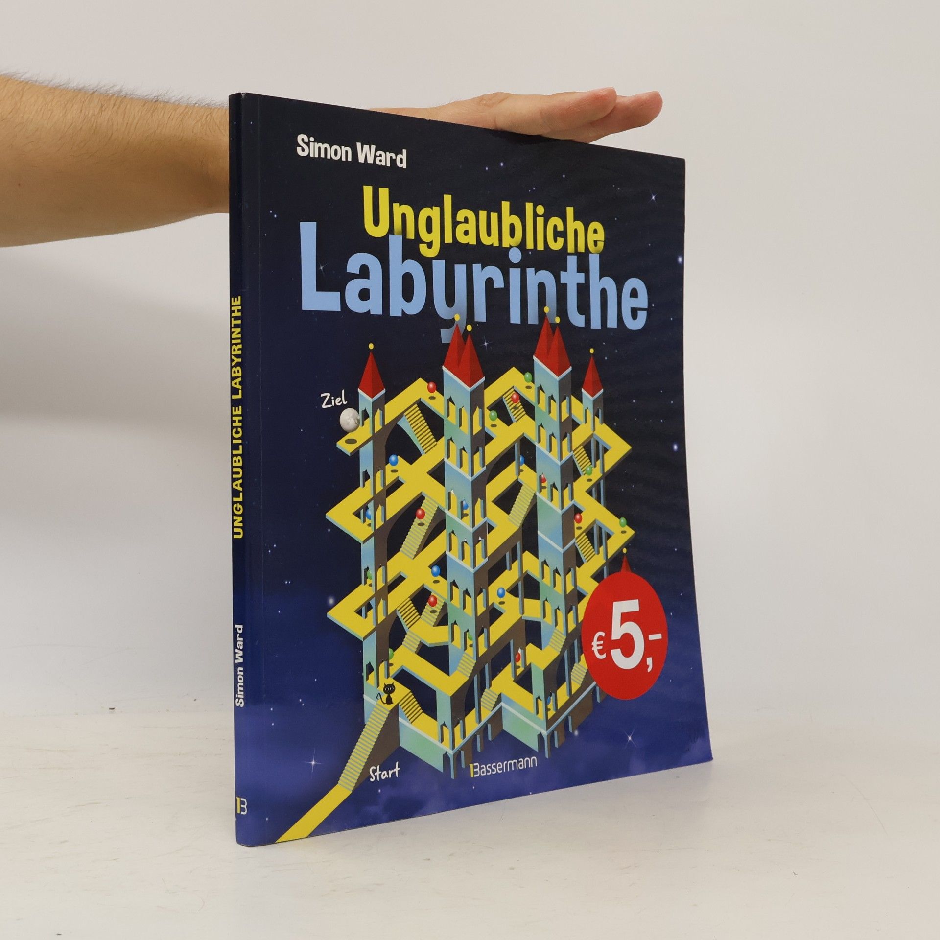 Simon Ward Unglaubliche Labyrinthe