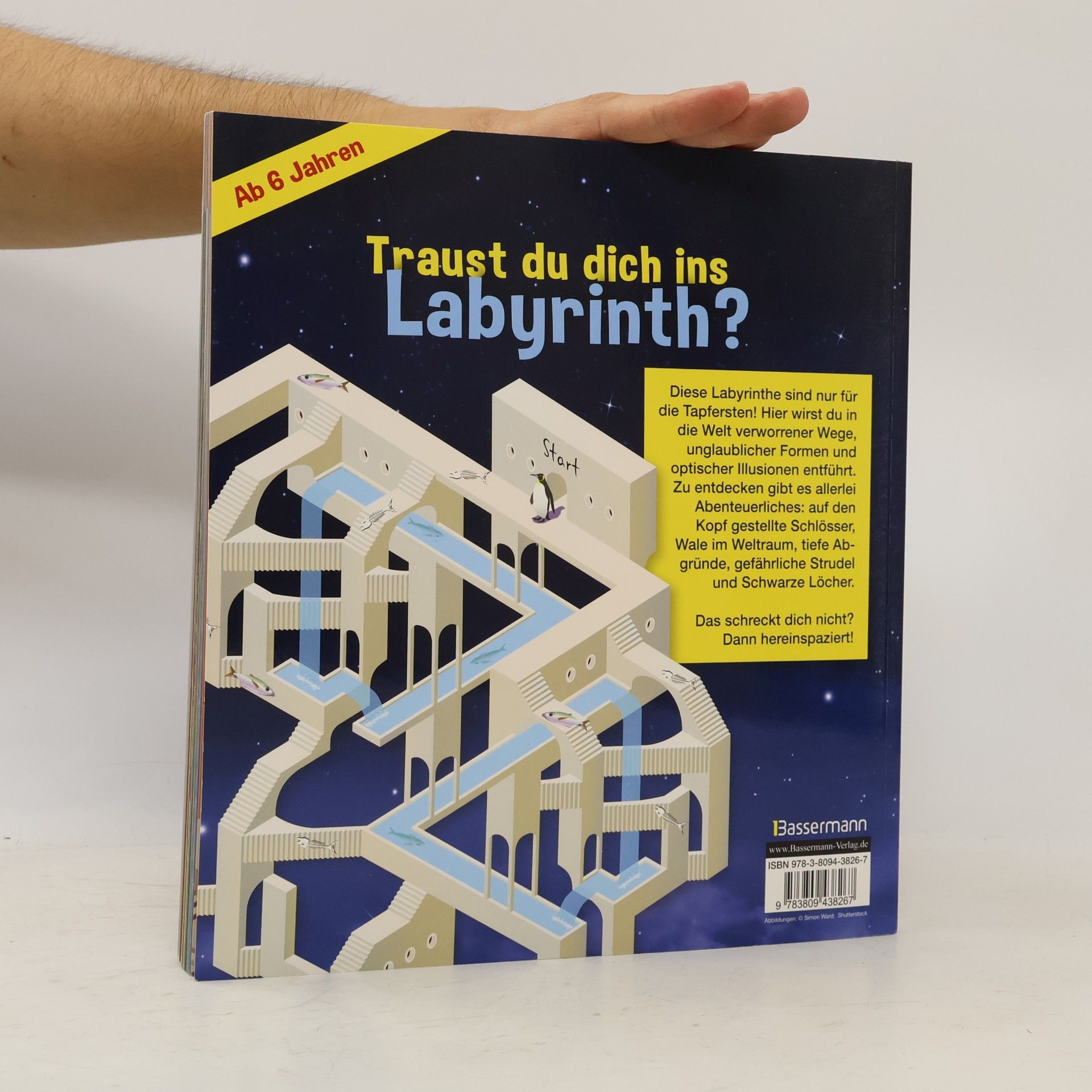 Simon Ward Unglaubliche Labyrinthe