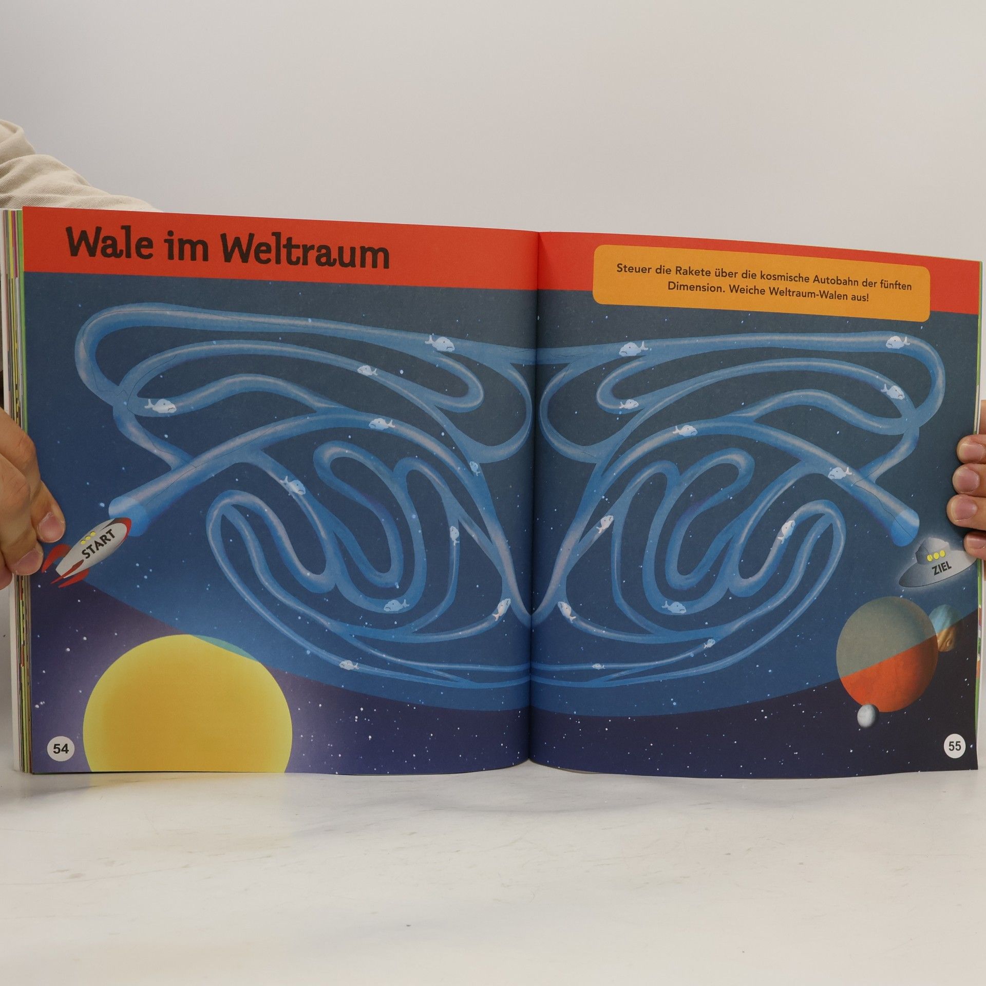 Simon Ward Unglaubliche Labyrinthe