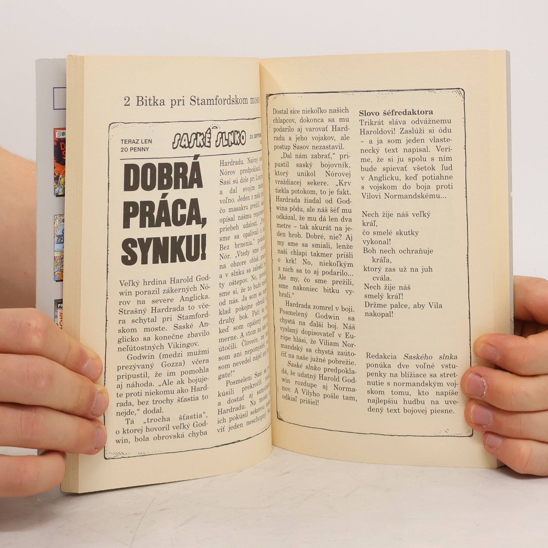 Terry Deary Krutí Vikingovia