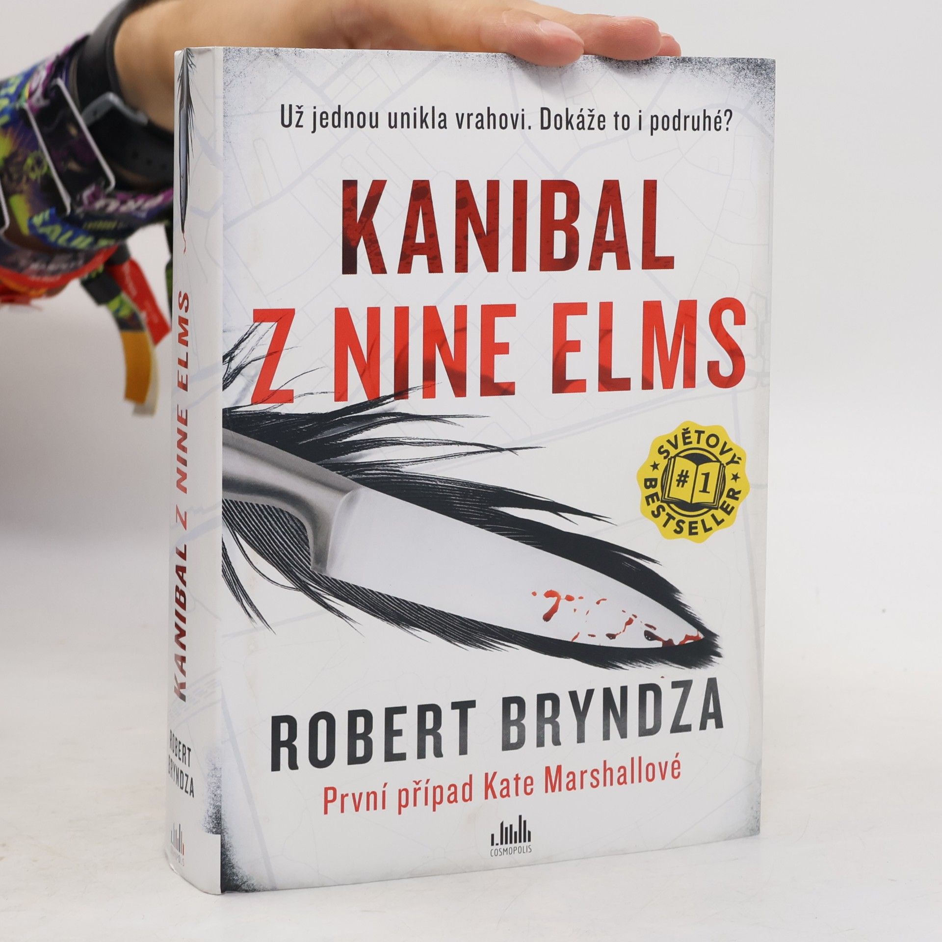 Robert Bryndza Kanibal z Nine Elms