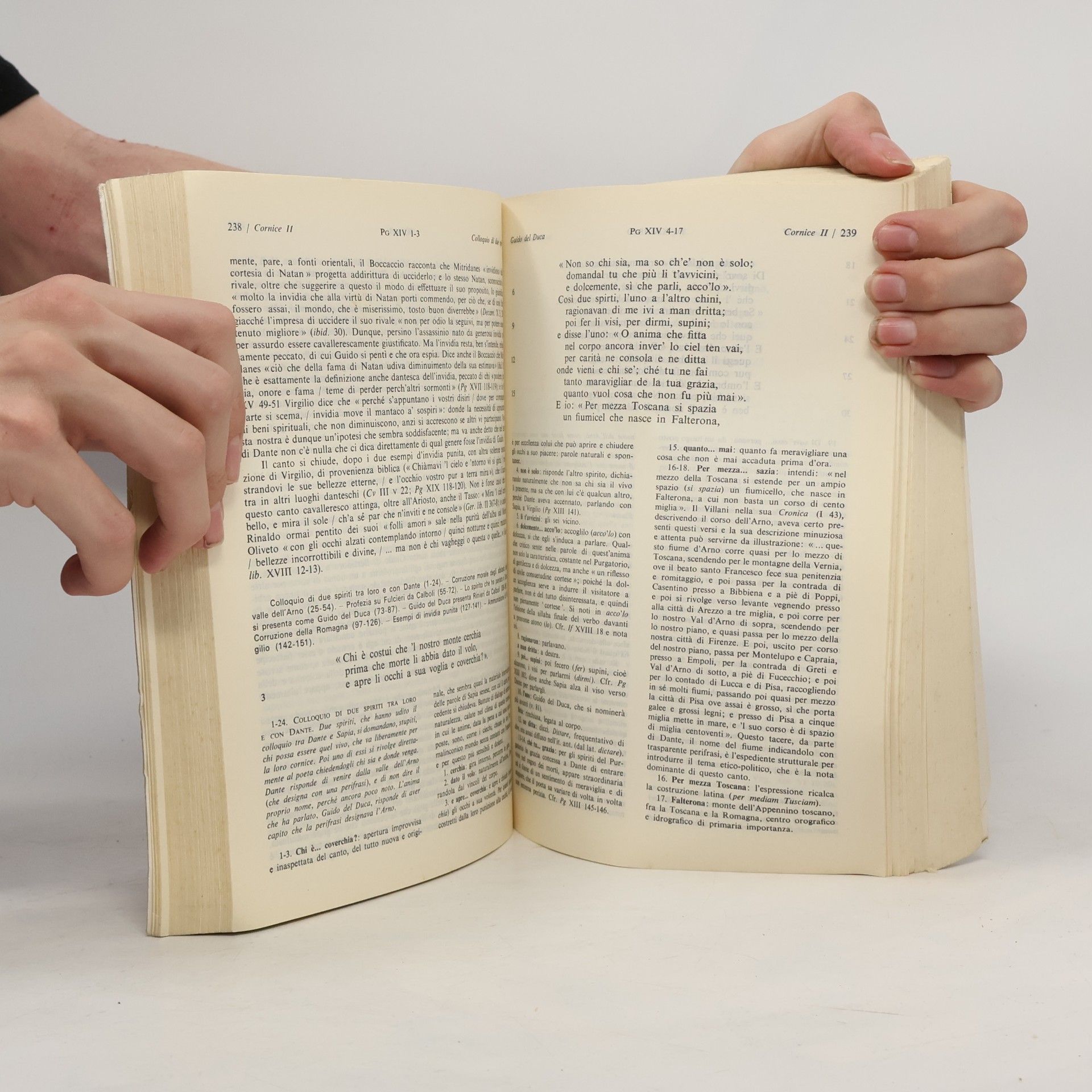 Dante Alighieri La Divina Commedia