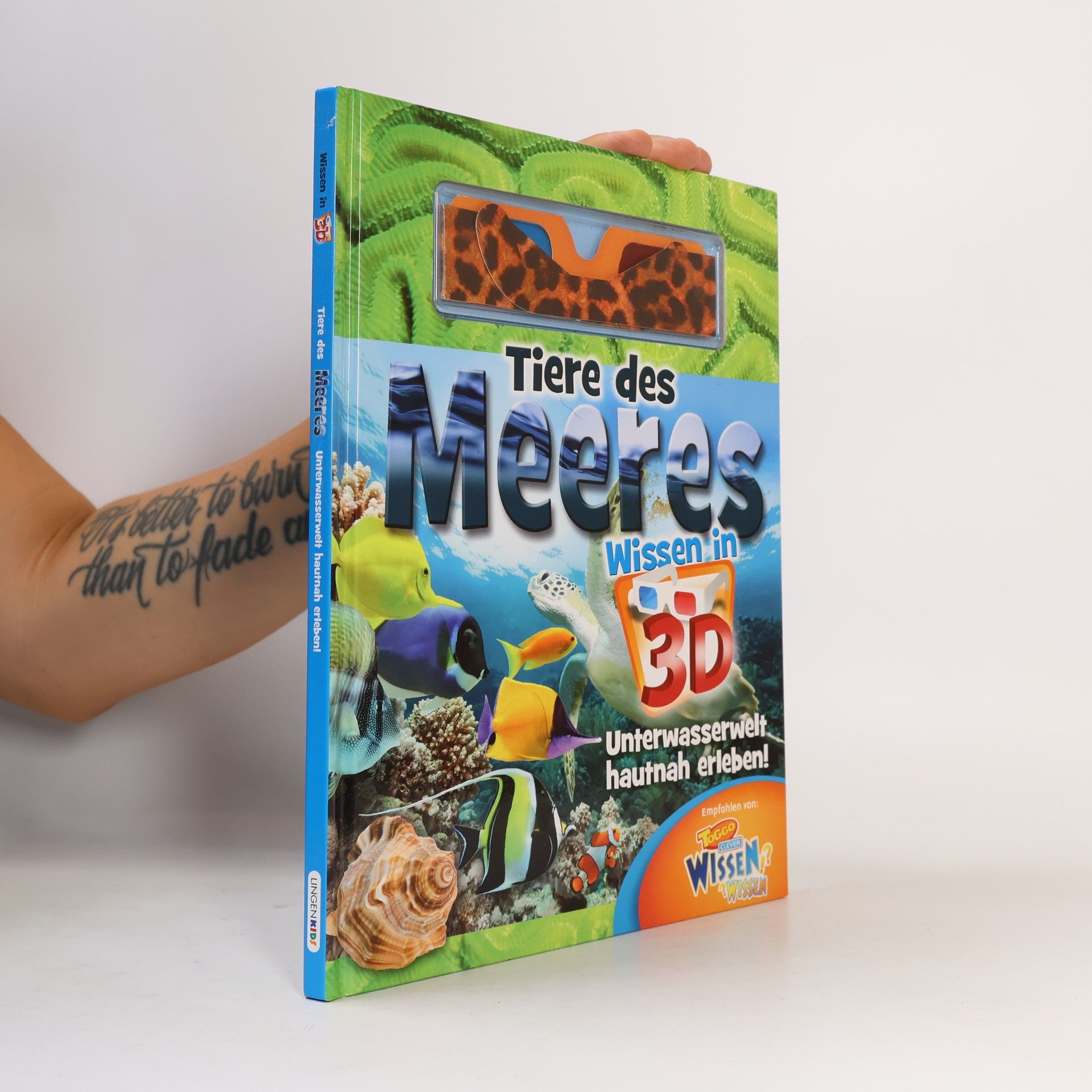Autorenkollektiv Tiere des Meeres